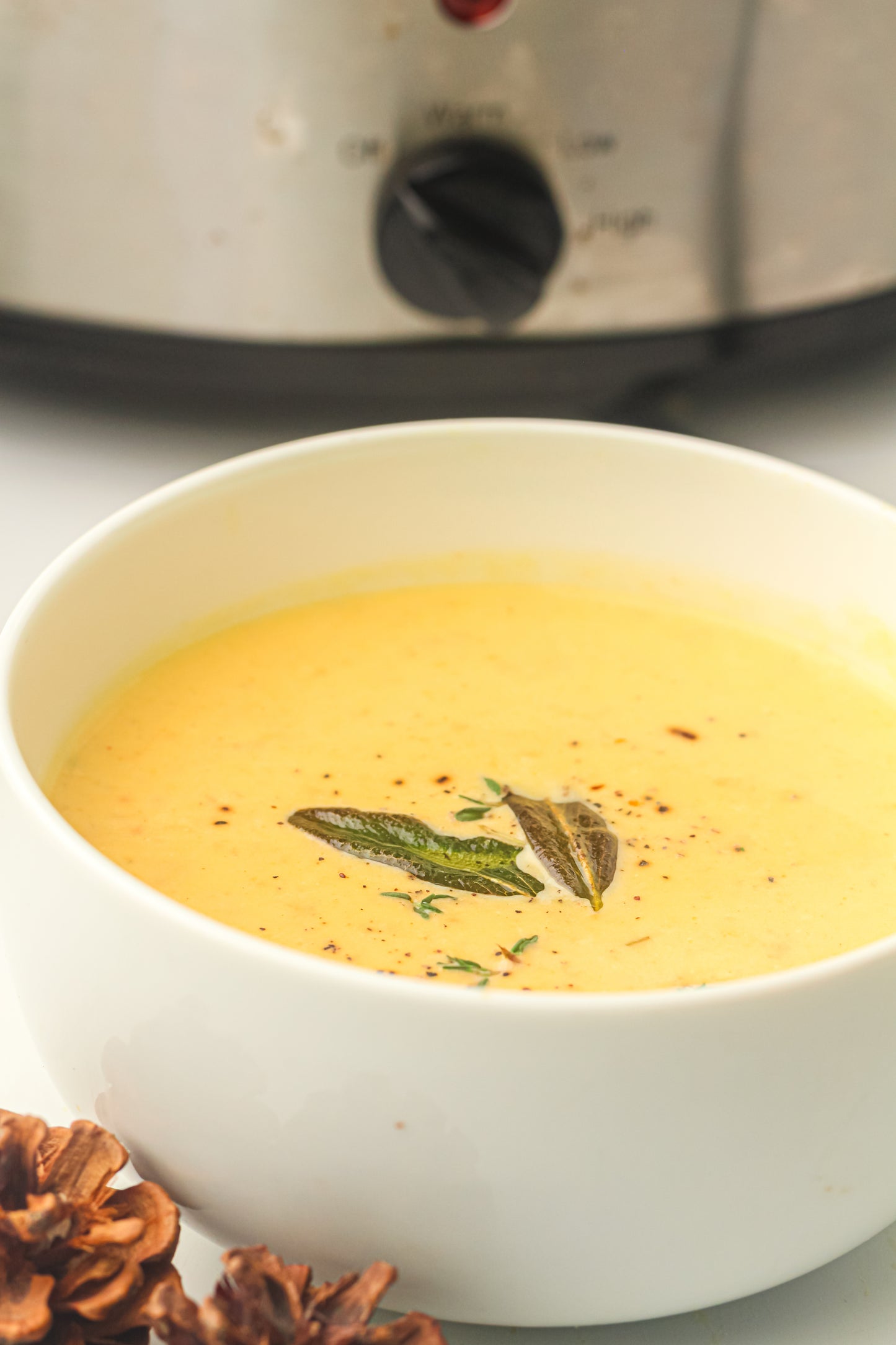 Slow Cooker Butternut Squash Soup Recipe