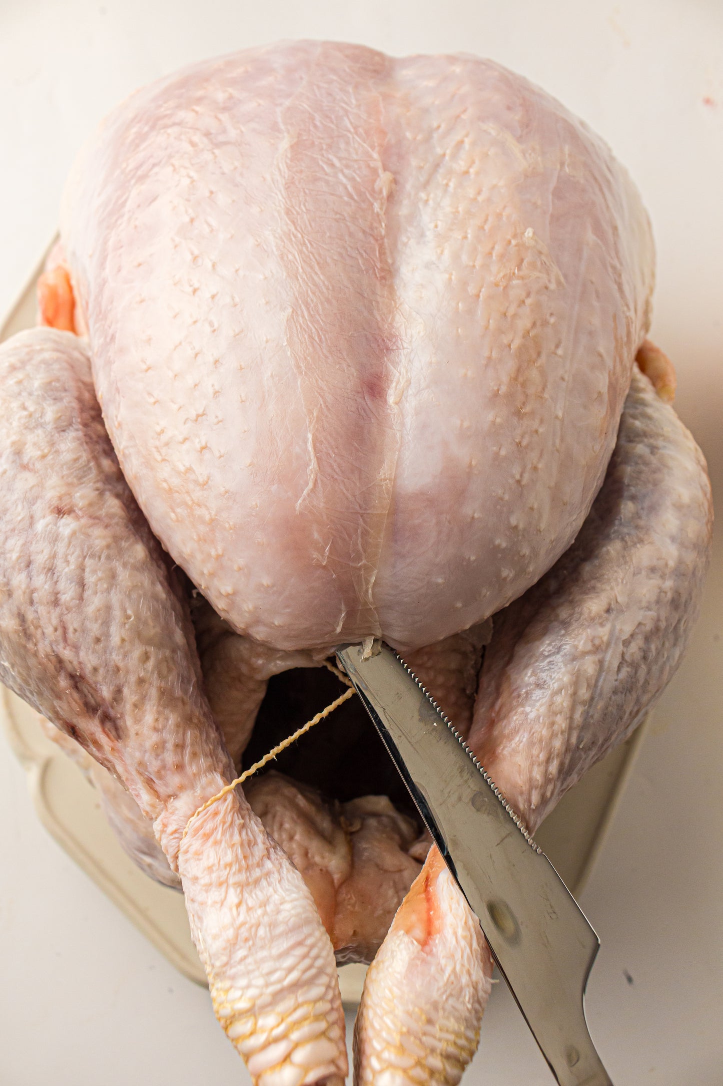 Whole Roast Turkey