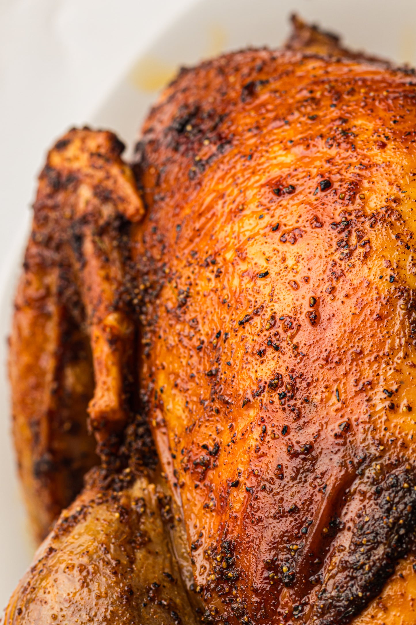 Whole Roast Turkey