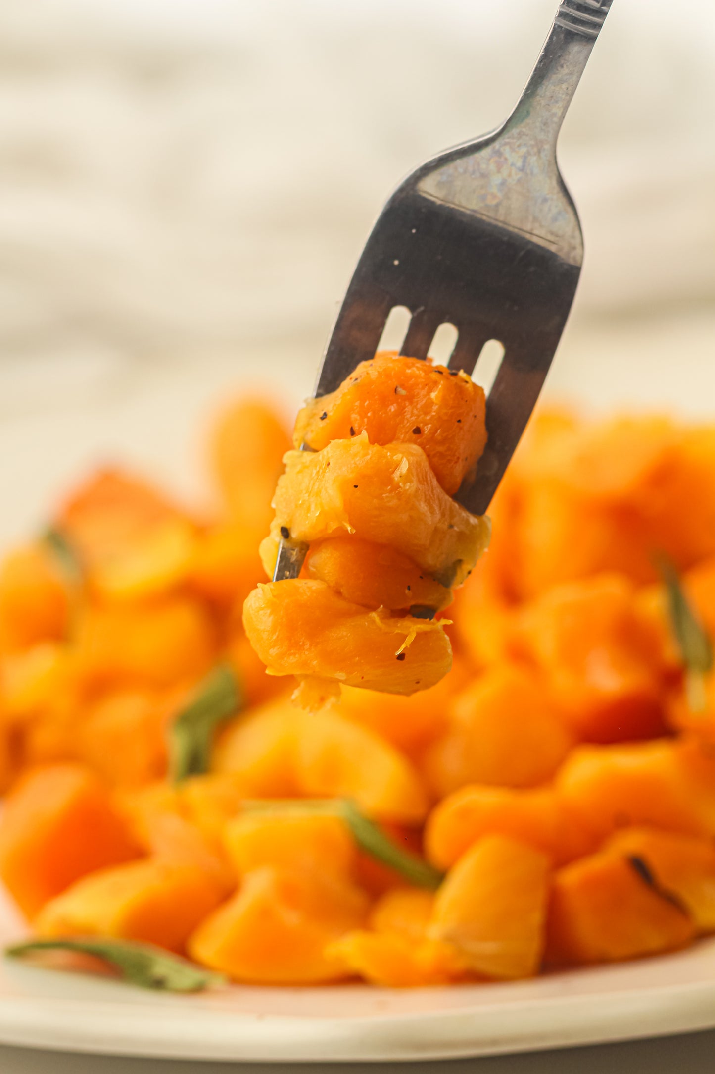 Air Fryer Butternut Squash (Mini Exclusive)