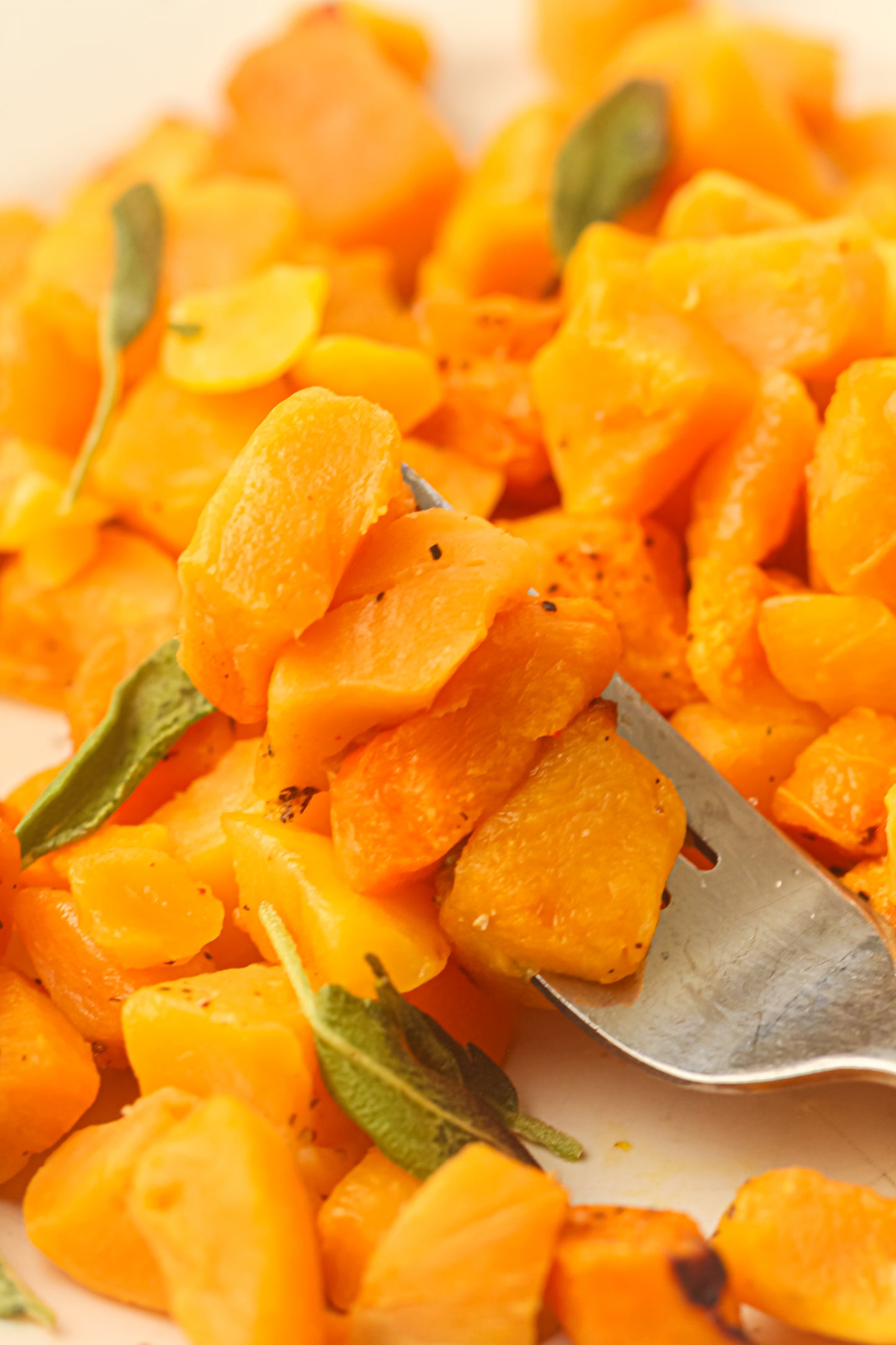 Air Fryer Butternut Squash (Mini Exclusive)