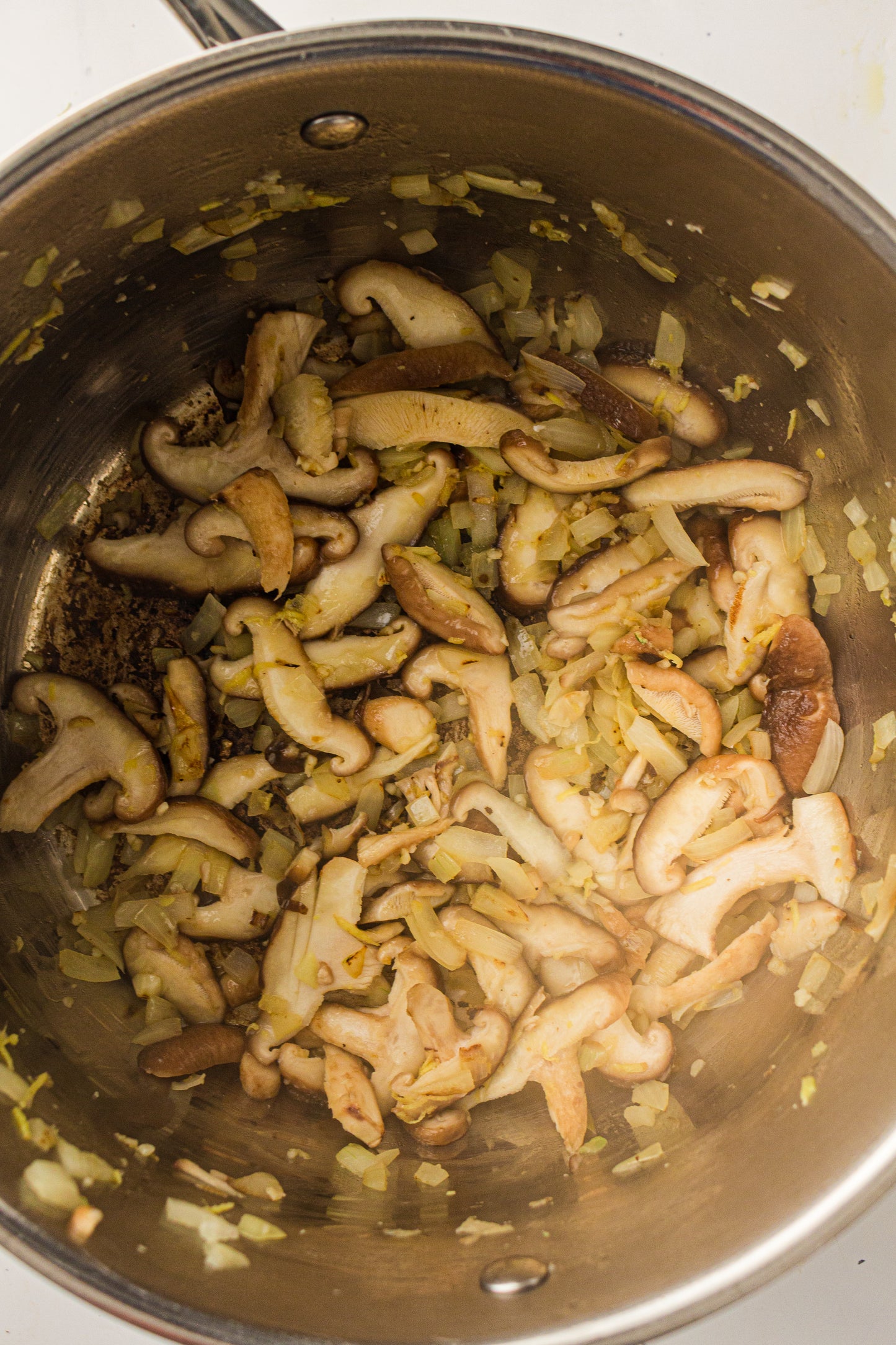 Chickpea Curry  – PLR Recipe