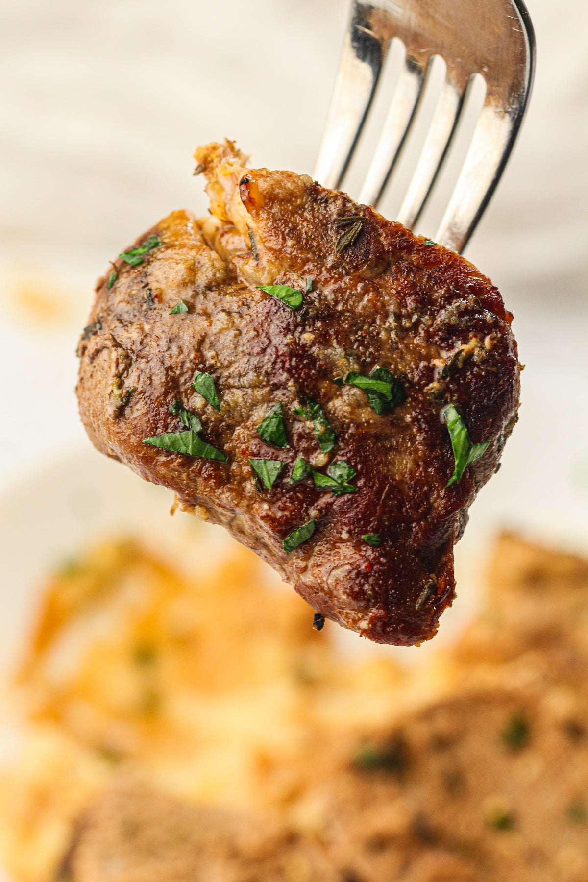 Slow Cooker Pork Fillet