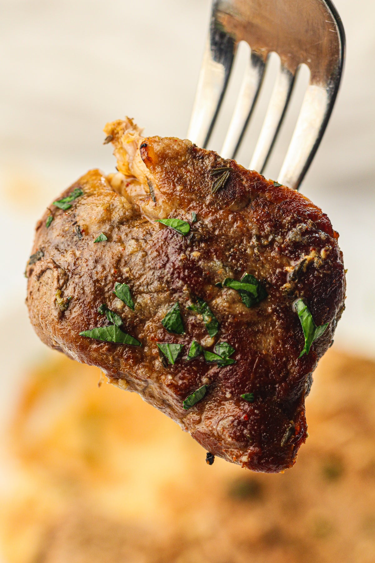 Slow Cooker Pork Fillet