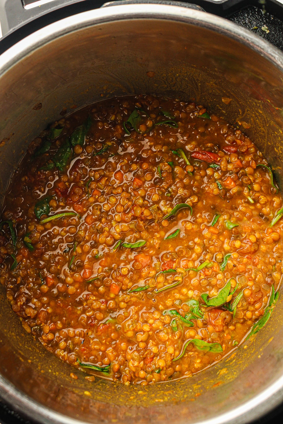 Instant Pot Lentil Soup