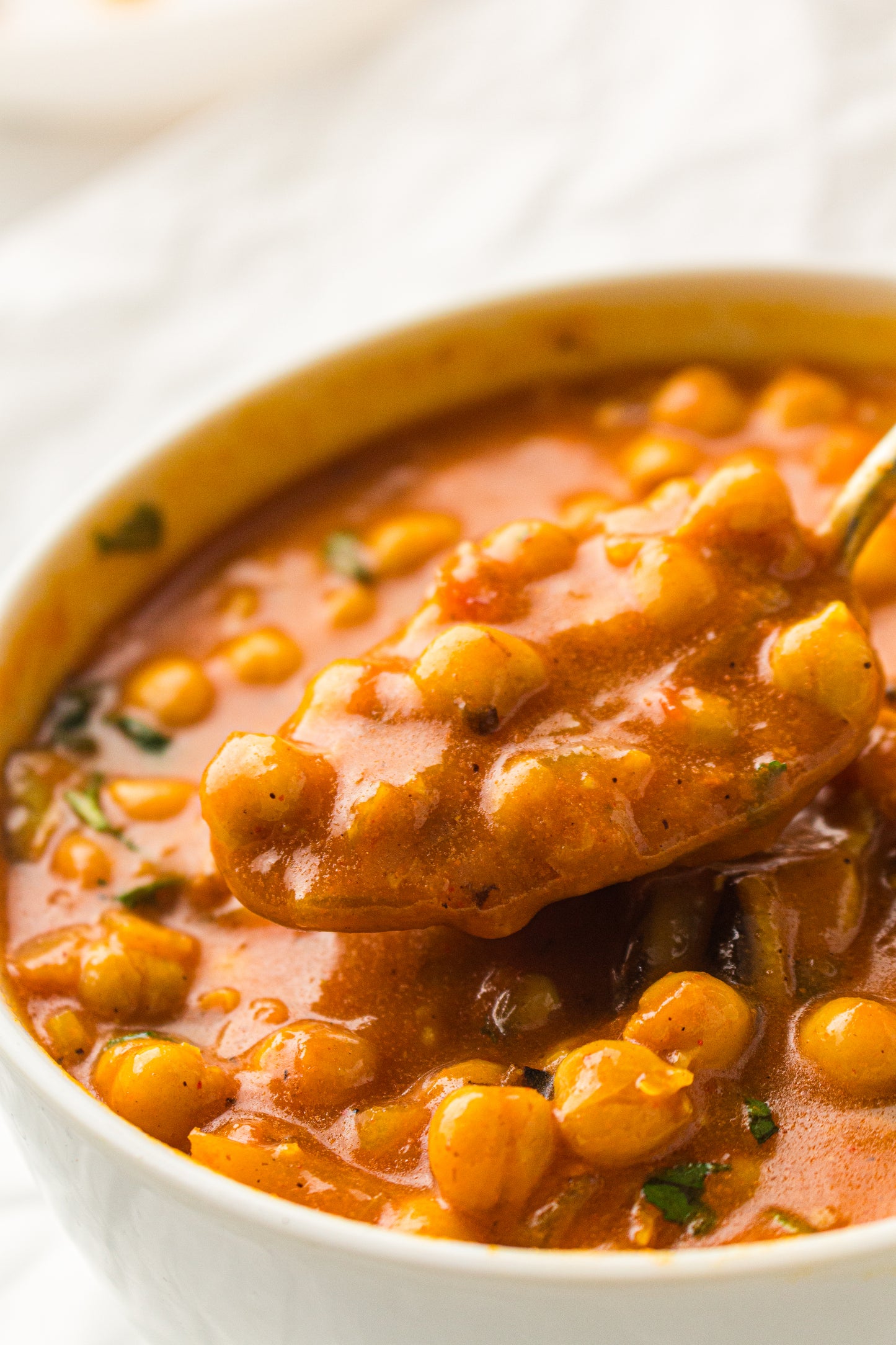 Chickpea Curry  – PLR Recipe