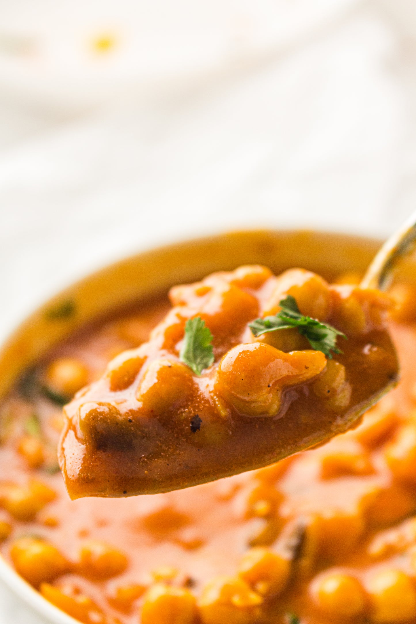 Chickpea Curry  – PLR Recipe