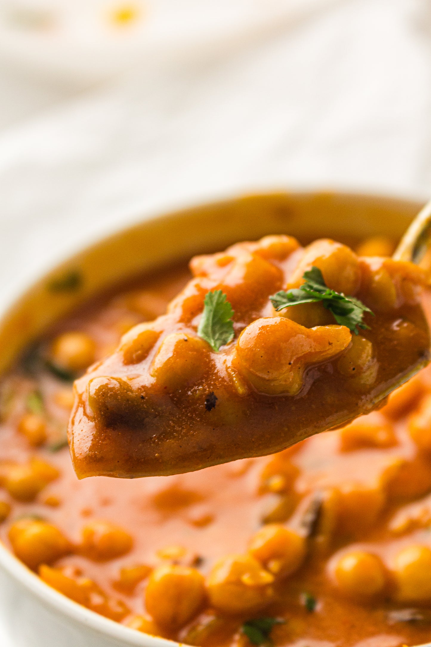 Chickpea Curry  – PLR Recipe