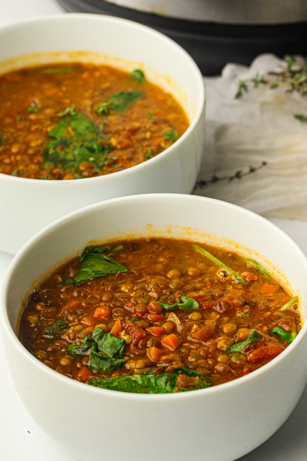 Instant Pot Lentil Soup