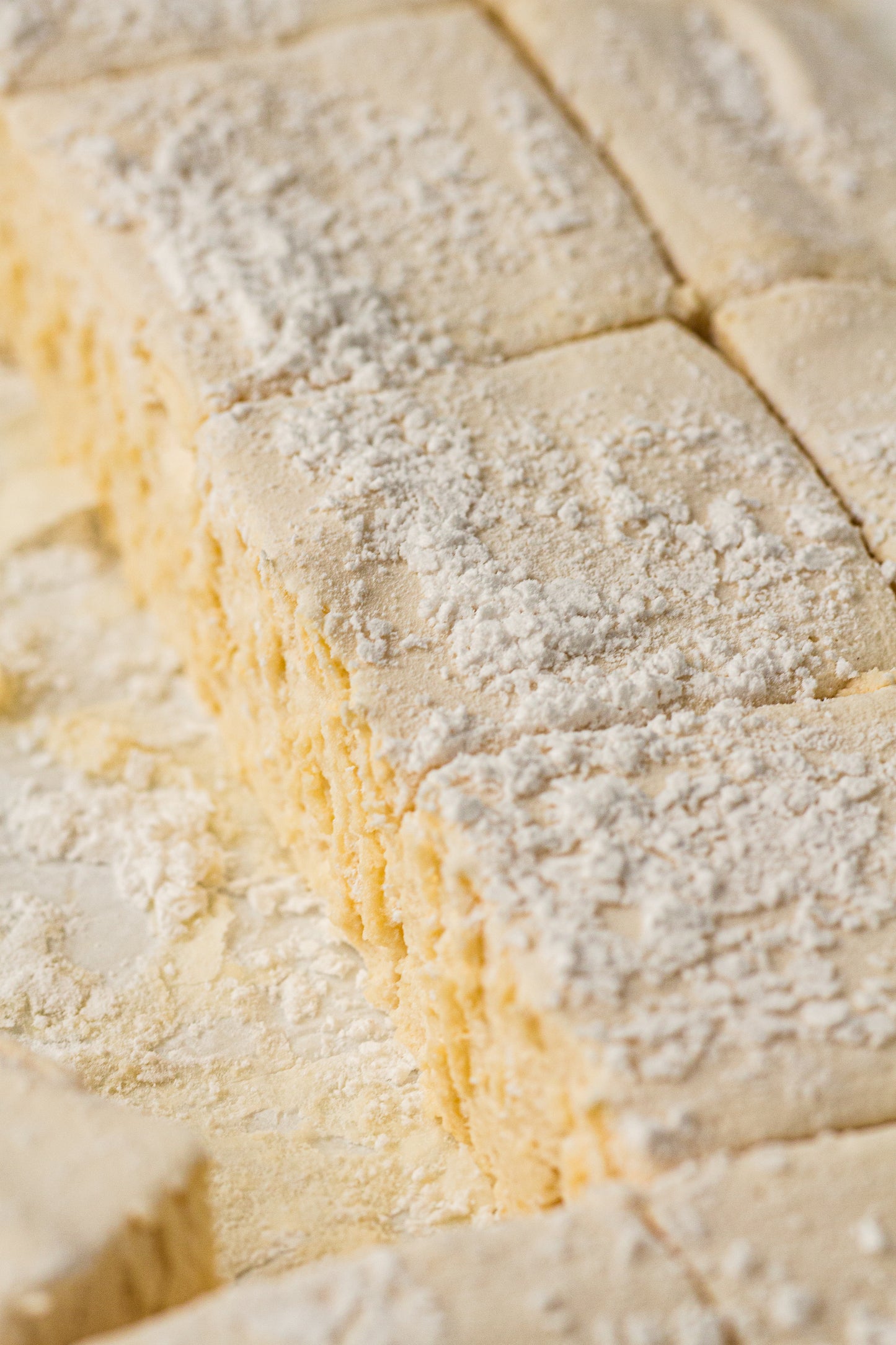 Gut Friendly Marshmallows  – Refined Sugar-Free (PLR Recipe)