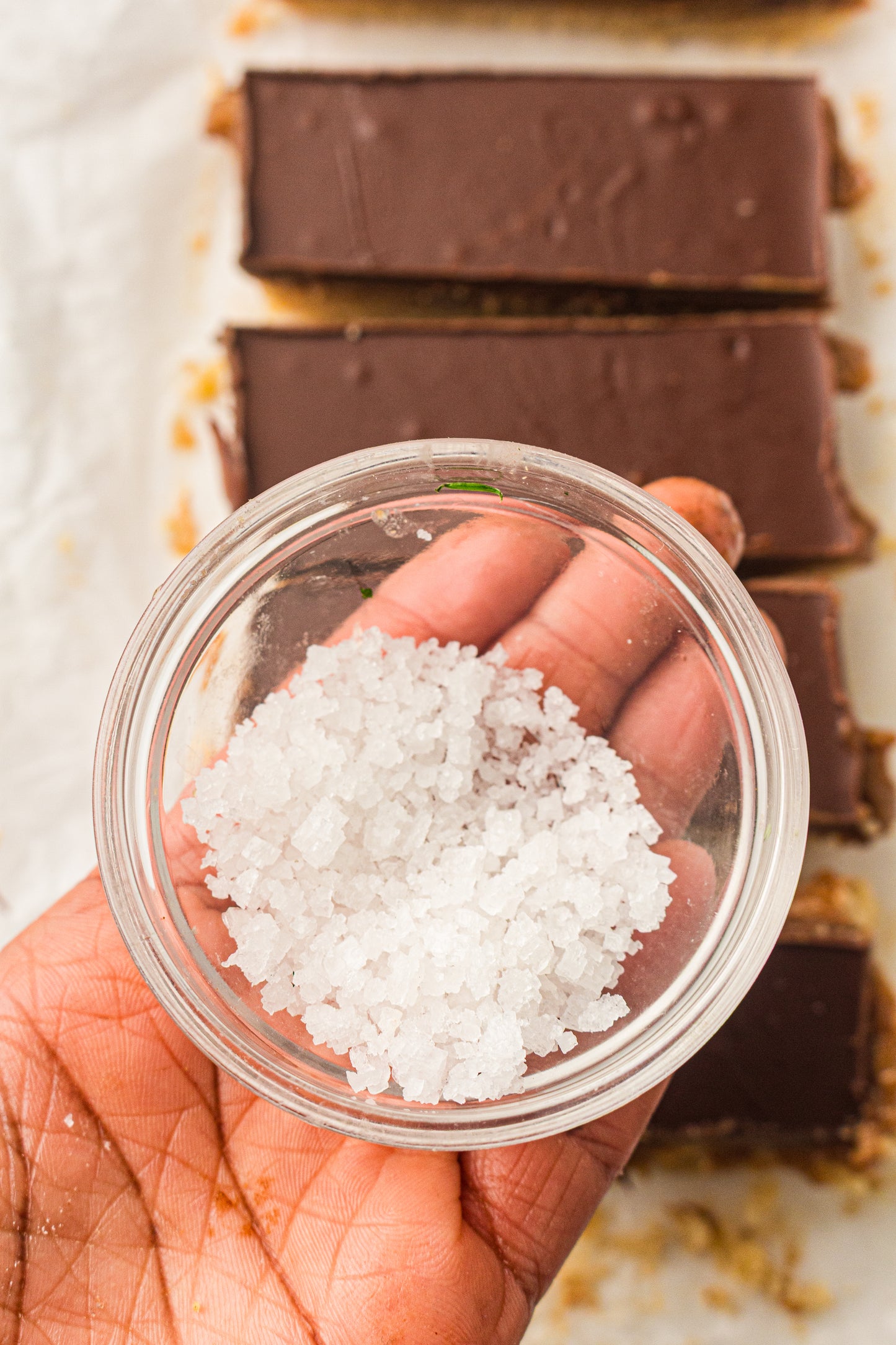 Healthy No-Bake Chocolate Caramel Bars – PLR Recipe