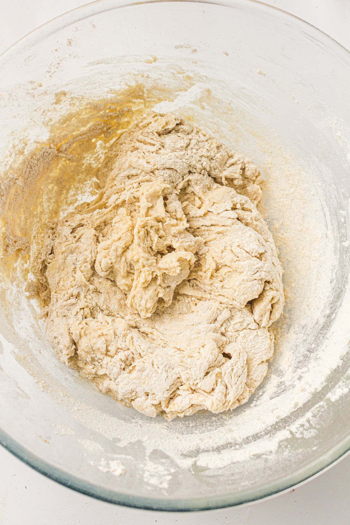 Sourdough Pizza (PLR Recipe)