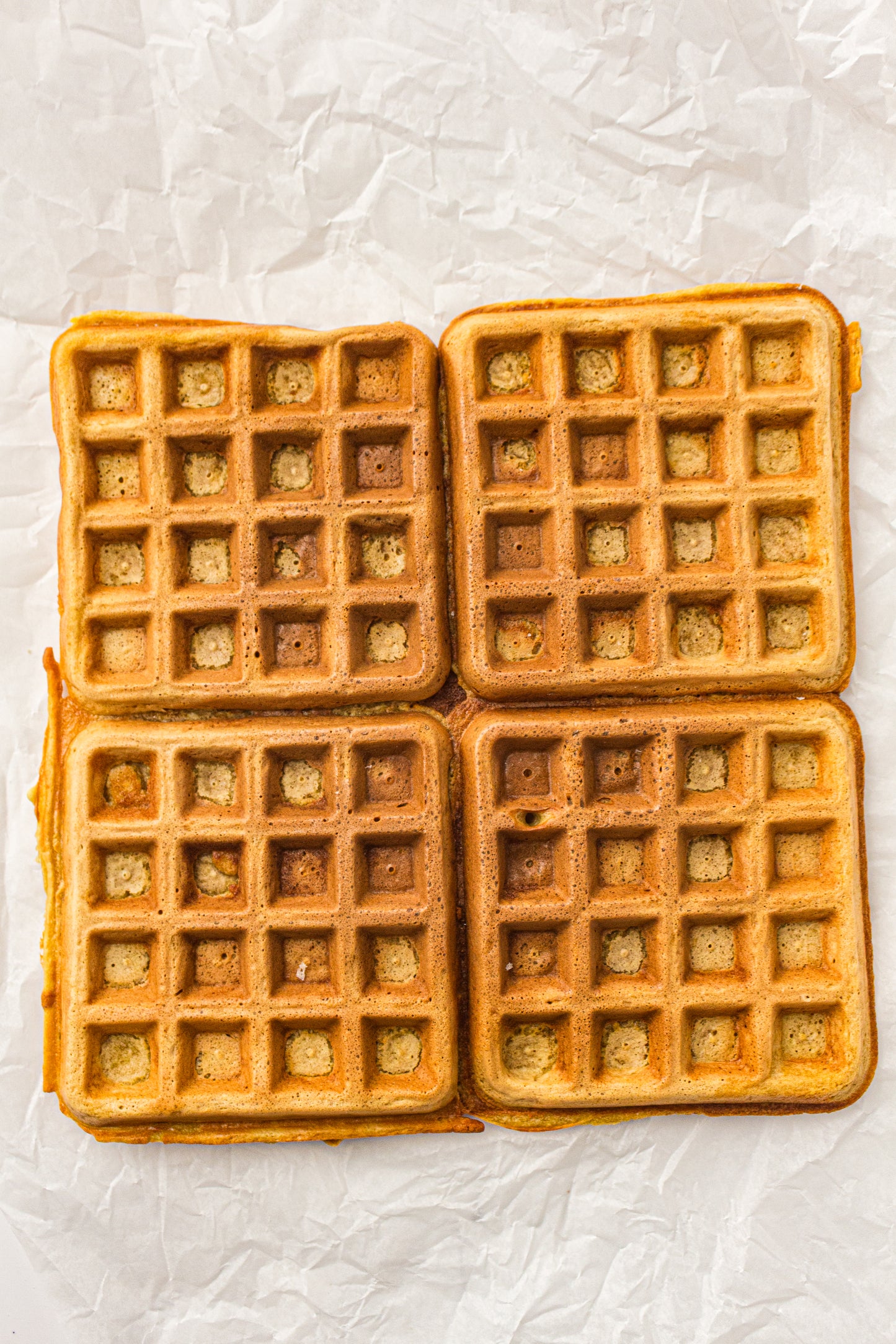 Sourdough Discard Waffles (PLR Recipe)