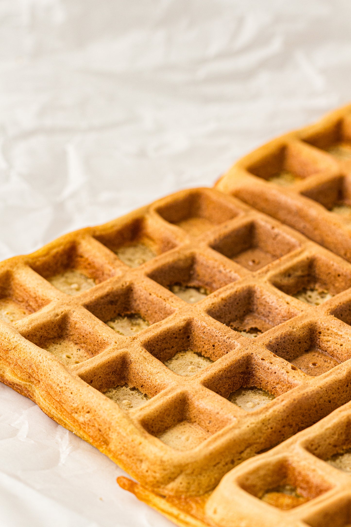 Sourdough Discard Waffles (PLR Recipe)