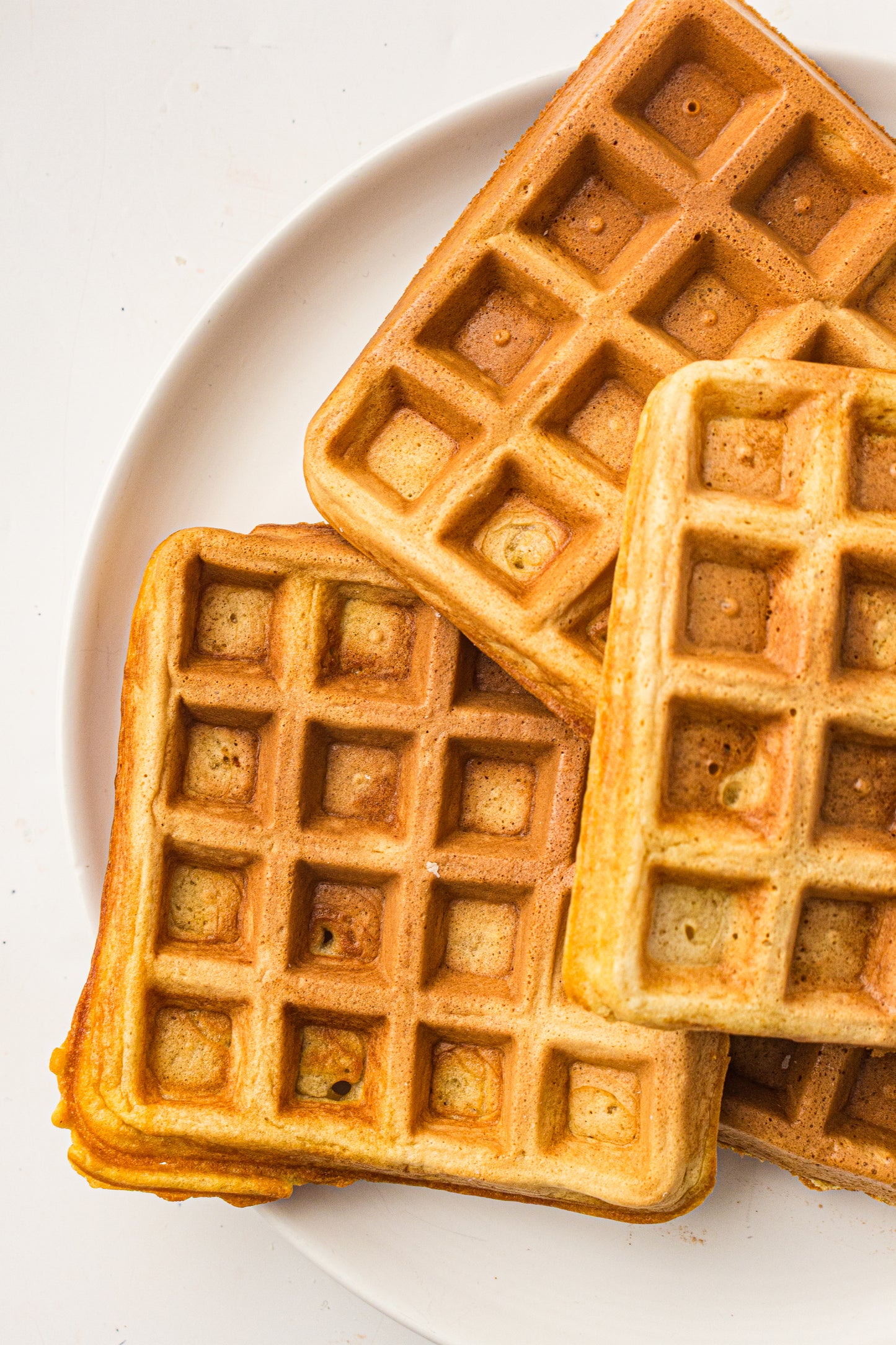 Sourdough Discard Waffles (PLR Recipe)