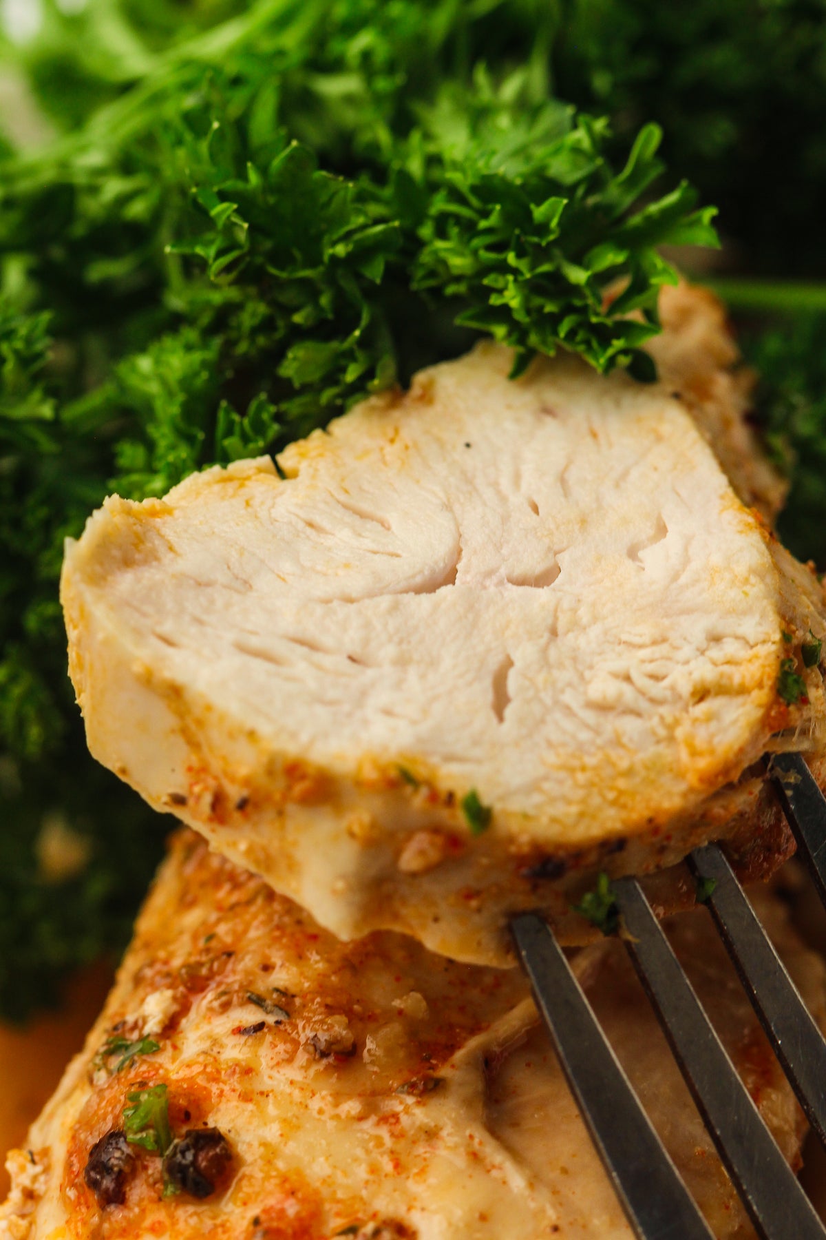Frozen Chicken Breast in the Instant Pot