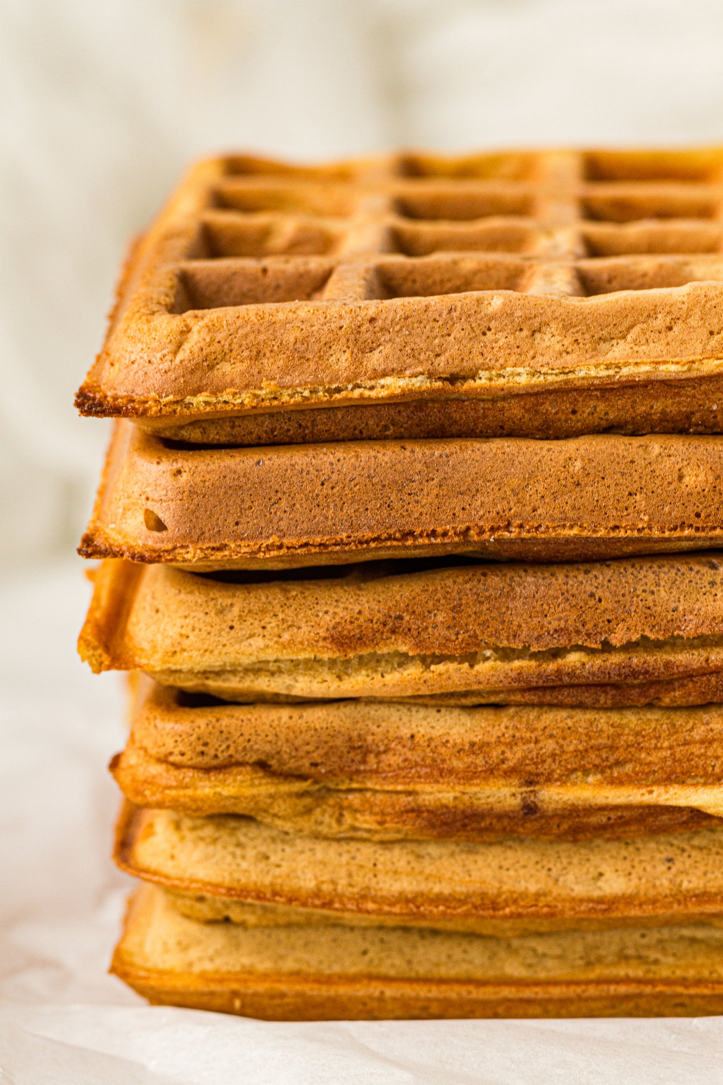 Sourdough Discard Waffles (PLR Recipe)