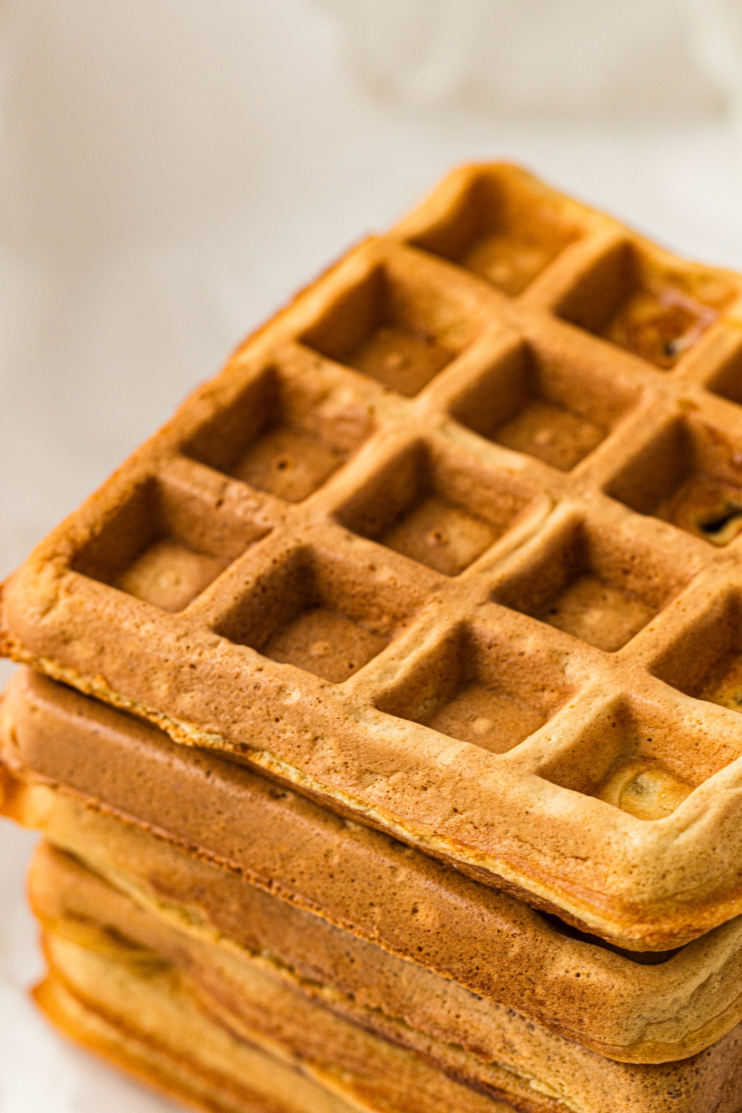 Sourdough Discard Waffles (PLR Recipe)