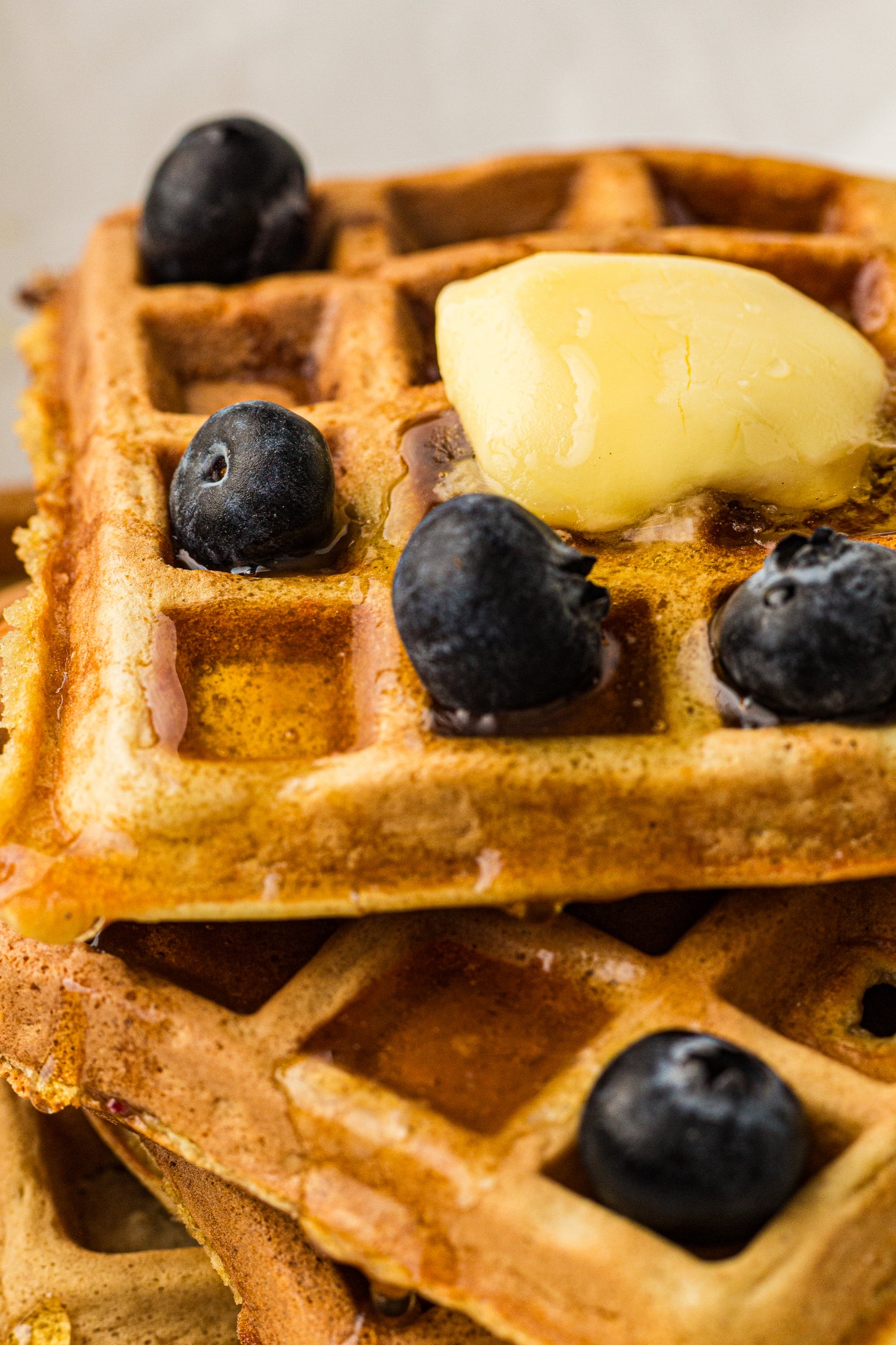 Sourdough Discard Waffles (PLR Recipe)