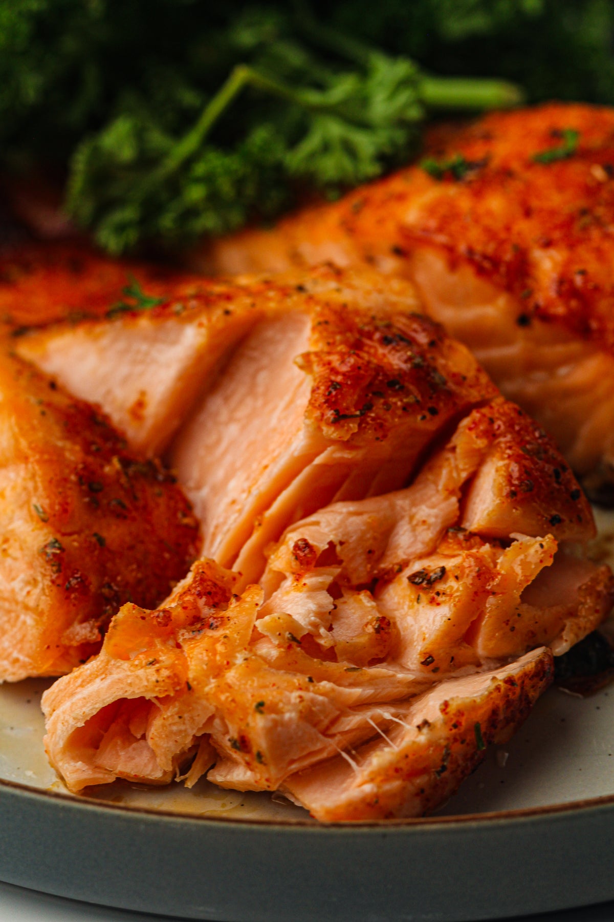 Frozen Salmon in the Air Fryer