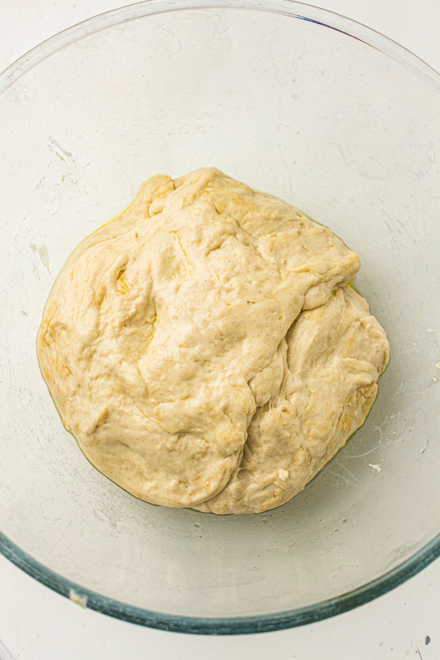 Sourdough Pizza (PLR Recipe)