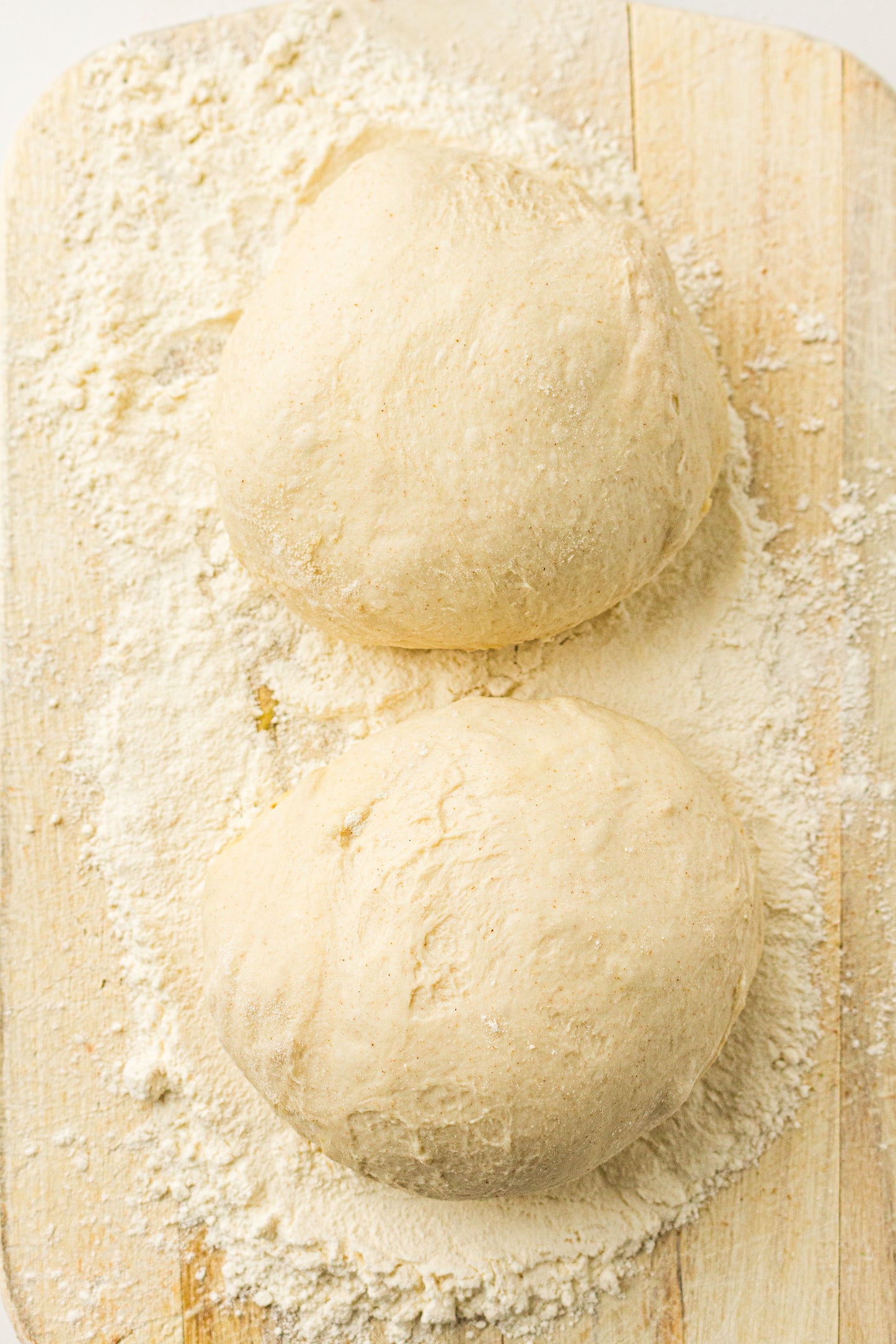 Sourdough Pizza (PLR Recipe)