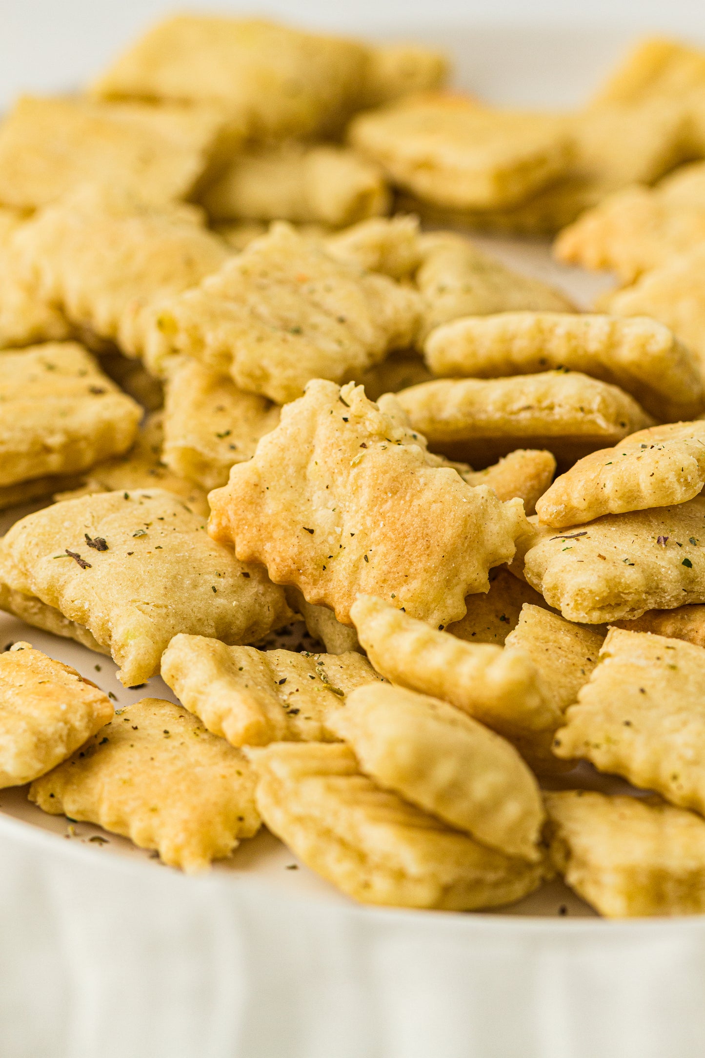 Sourdough Discard Crackers (PLR Recipe)