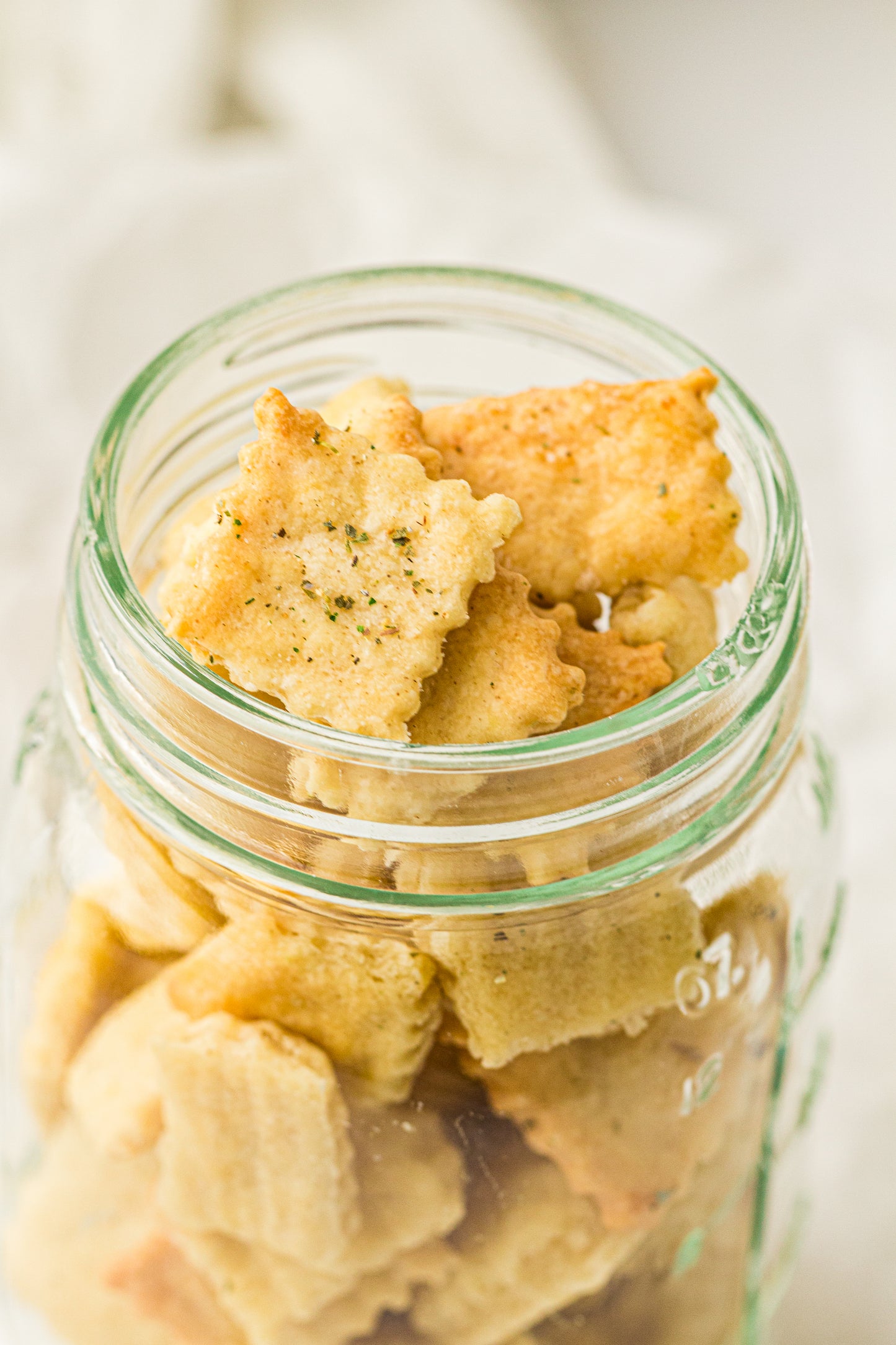 Sourdough Discard Crackers (PLR Recipe)