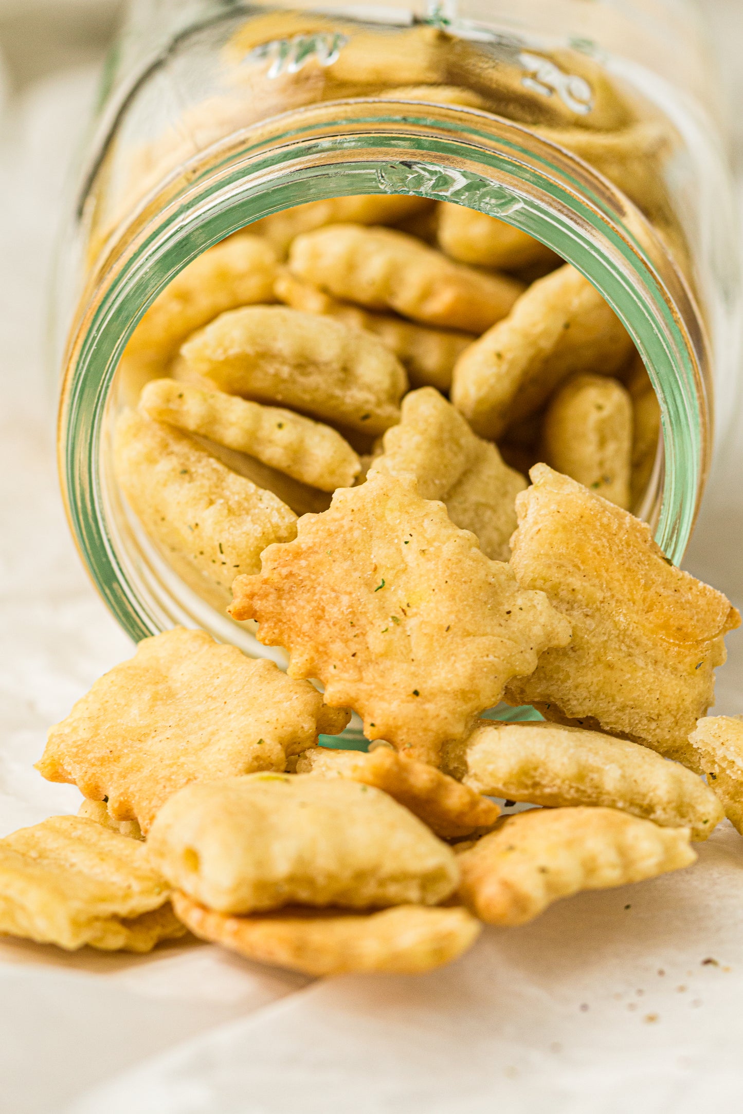 Sourdough Discard Crackers (PLR Recipe)