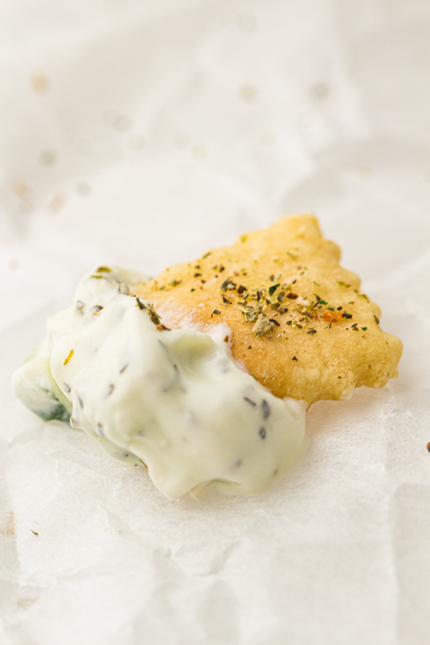 Sourdough Discard Crackers (PLR Recipe)