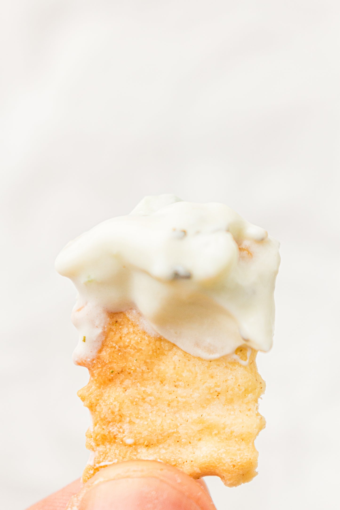 Sourdough Discard Crackers (PLR Recipe)