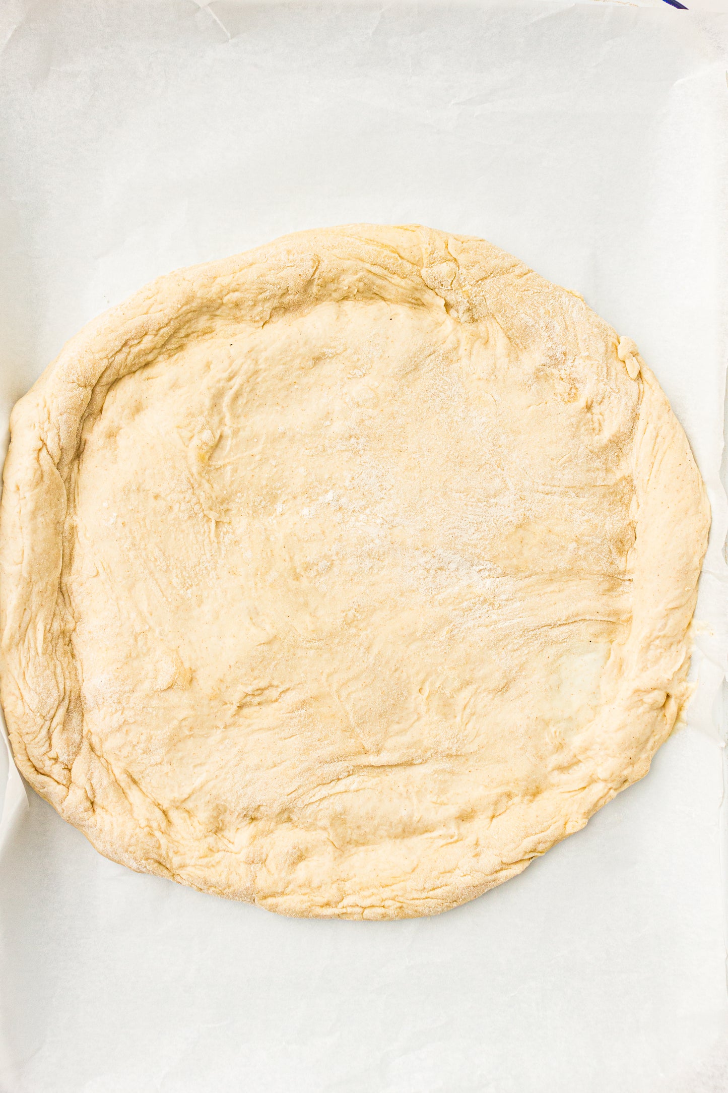 Sourdough Pizza (PLR Recipe)