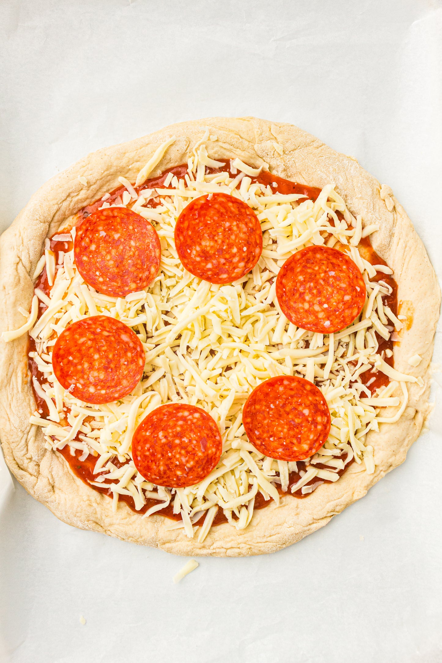 Sourdough Pizza (PLR Recipe)