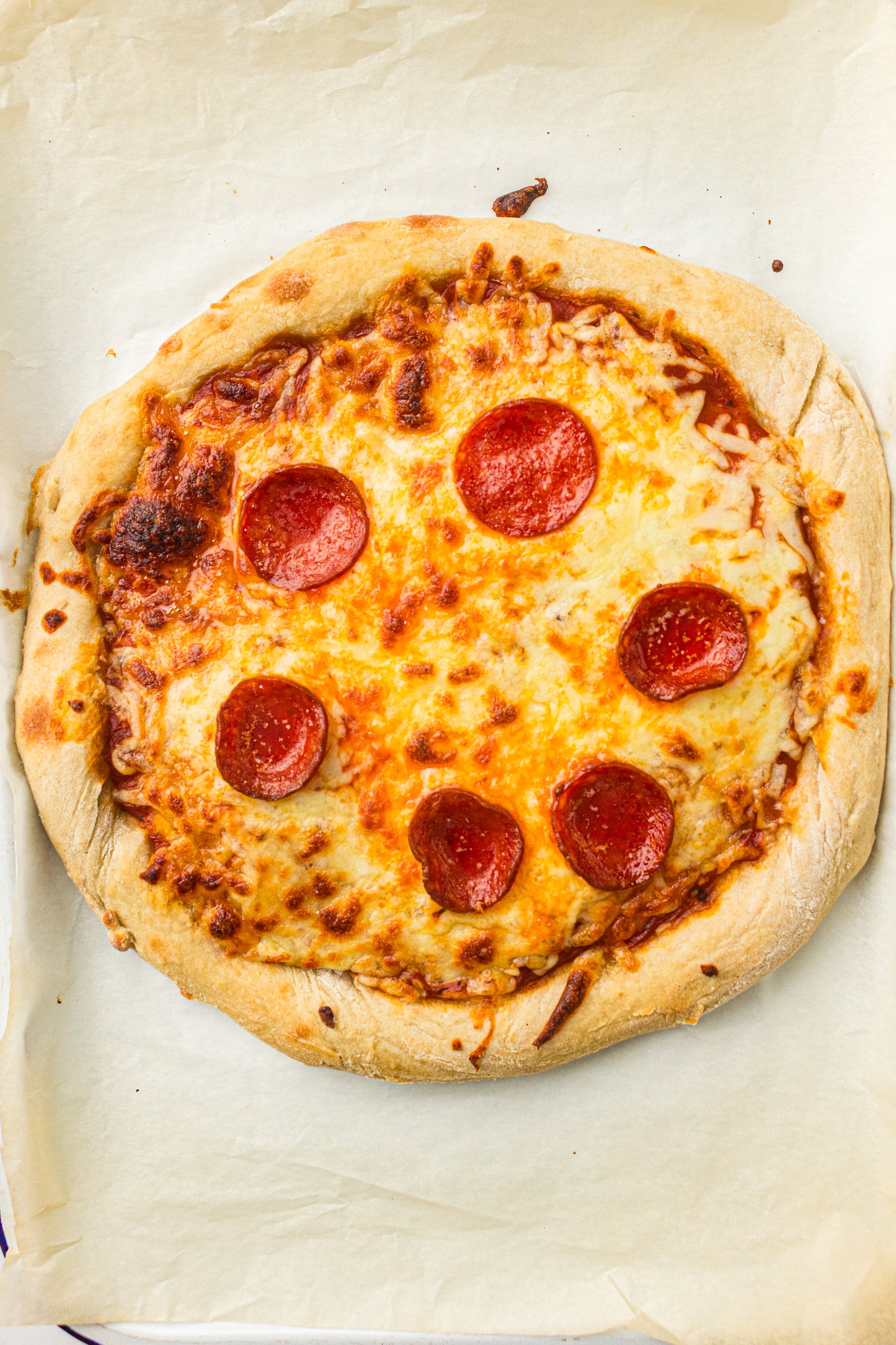 Sourdough Pizza (PLR Recipe)