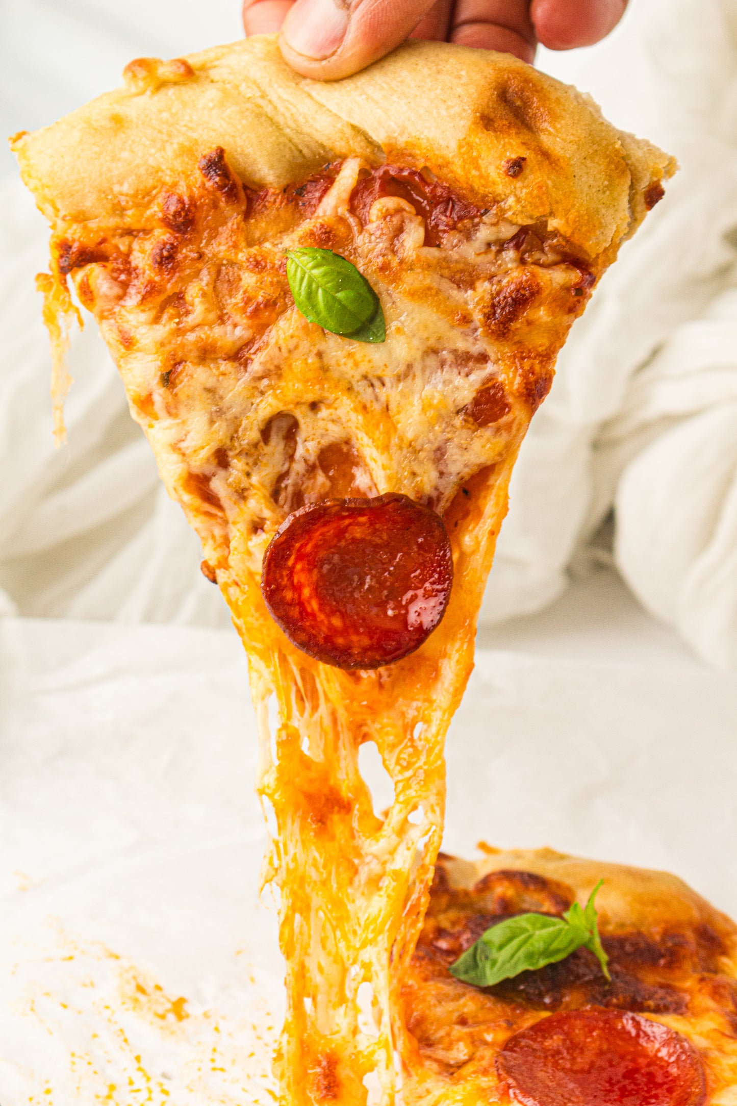 Sourdough Pizza (PLR Recipe)