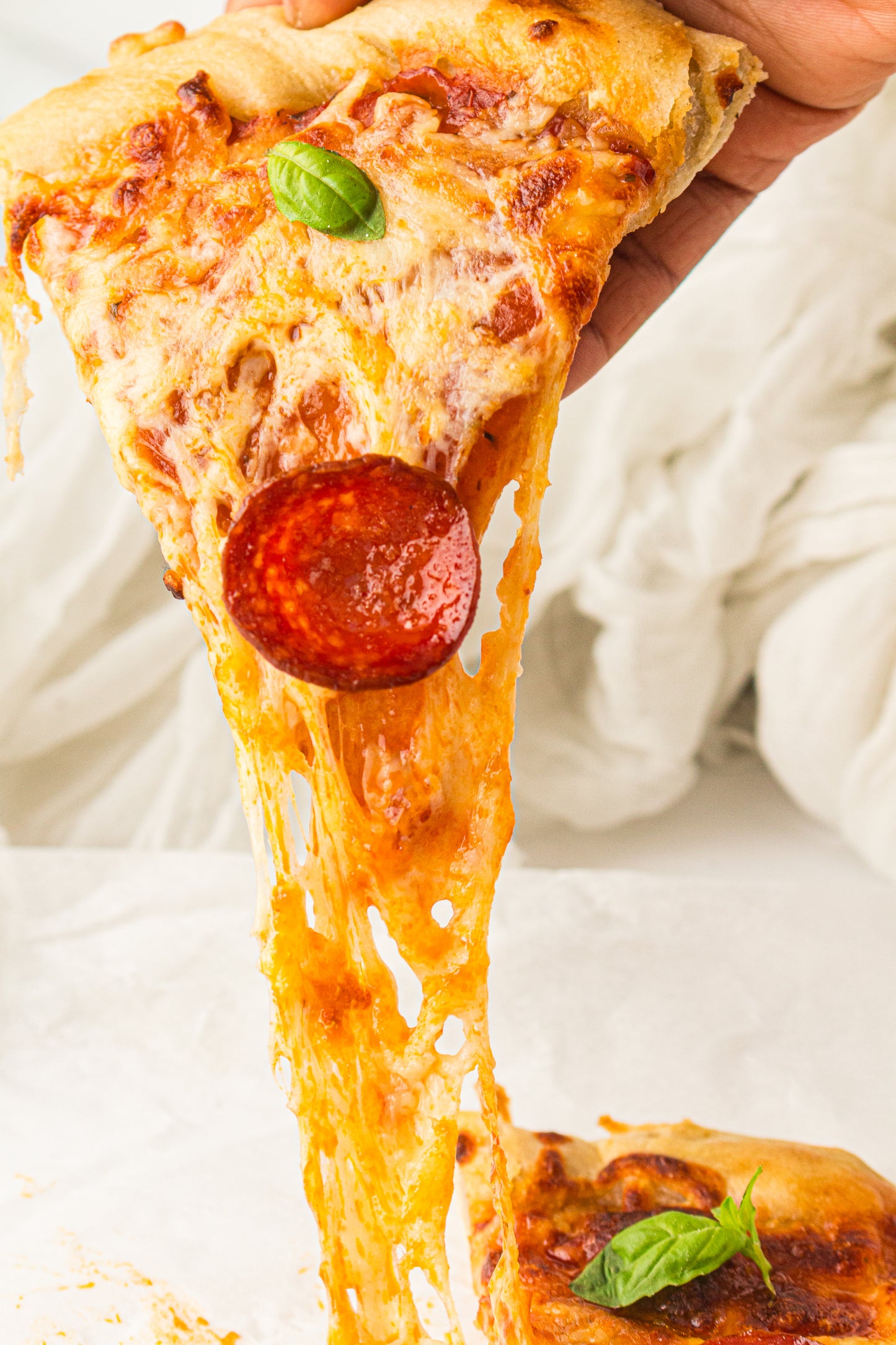 Sourdough Pizza (PLR Recipe)