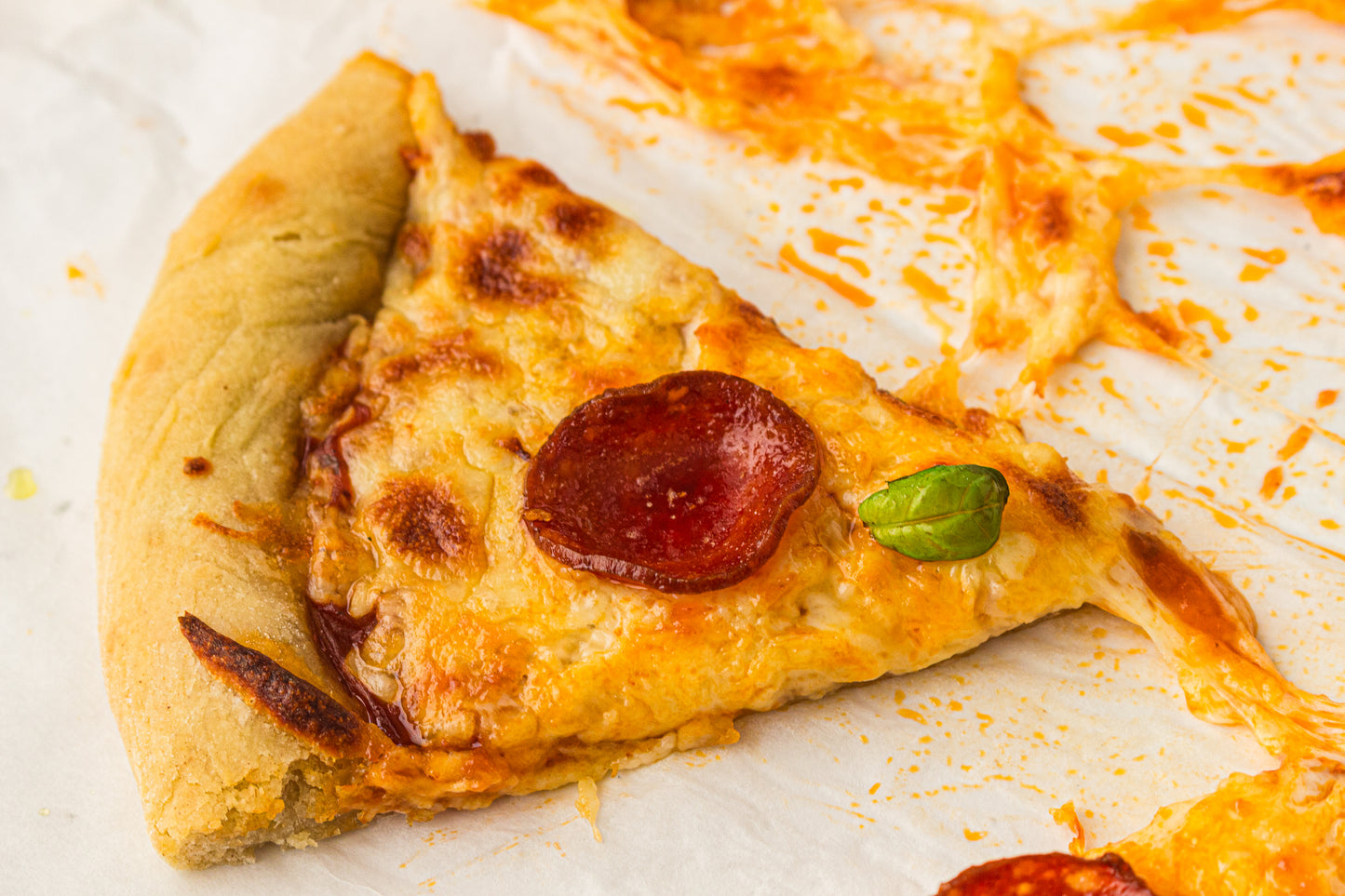 Sourdough Pizza (PLR Recipe)