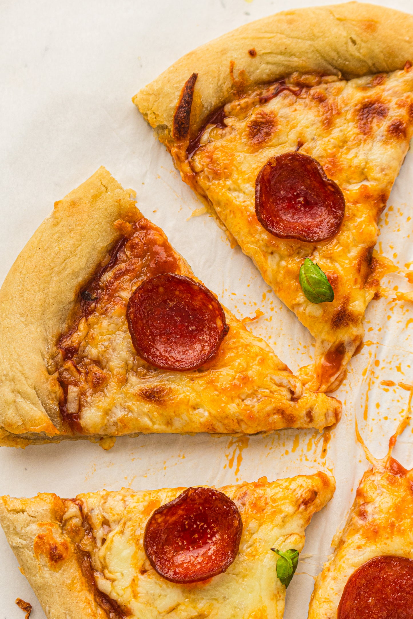 Sourdough Pizza (PLR Recipe)