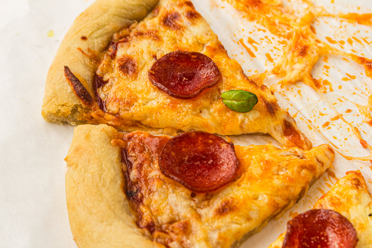 Sourdough Pizza (PLR Recipe)