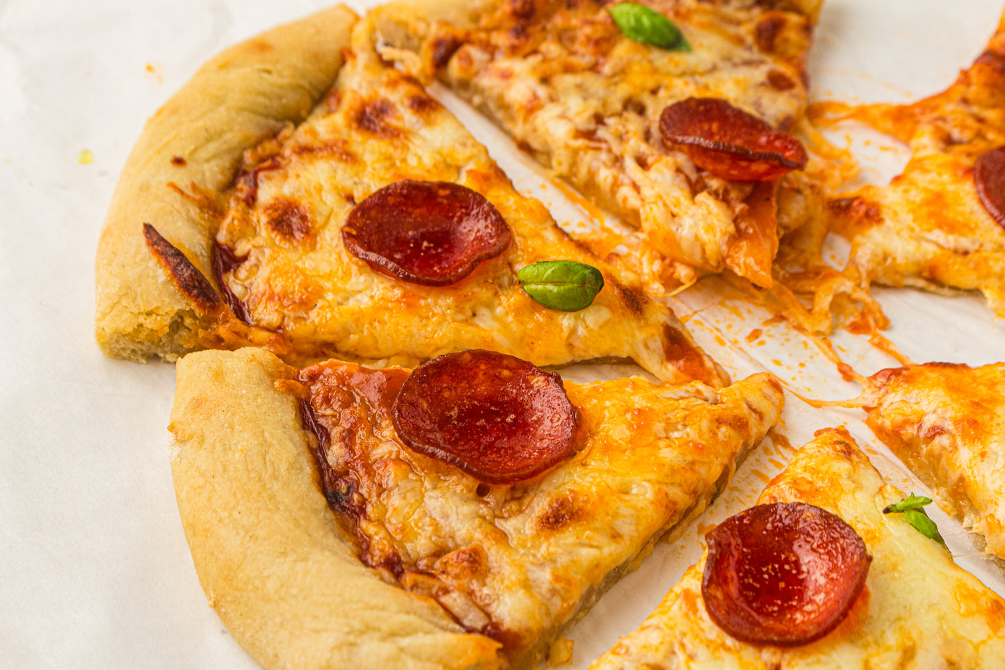 Sourdough Pizza (PLR Recipe)