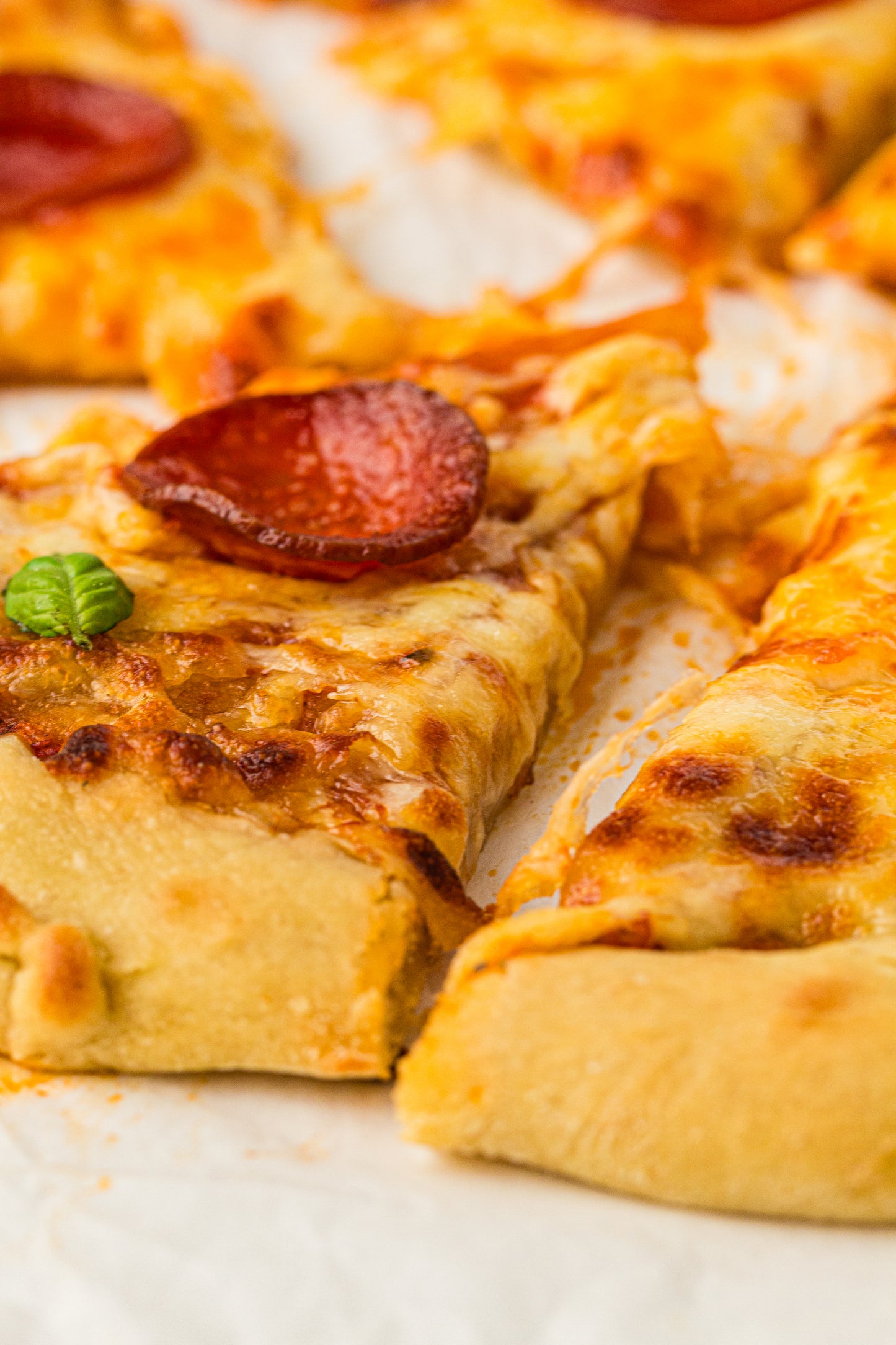 Sourdough Pizza (PLR Recipe)