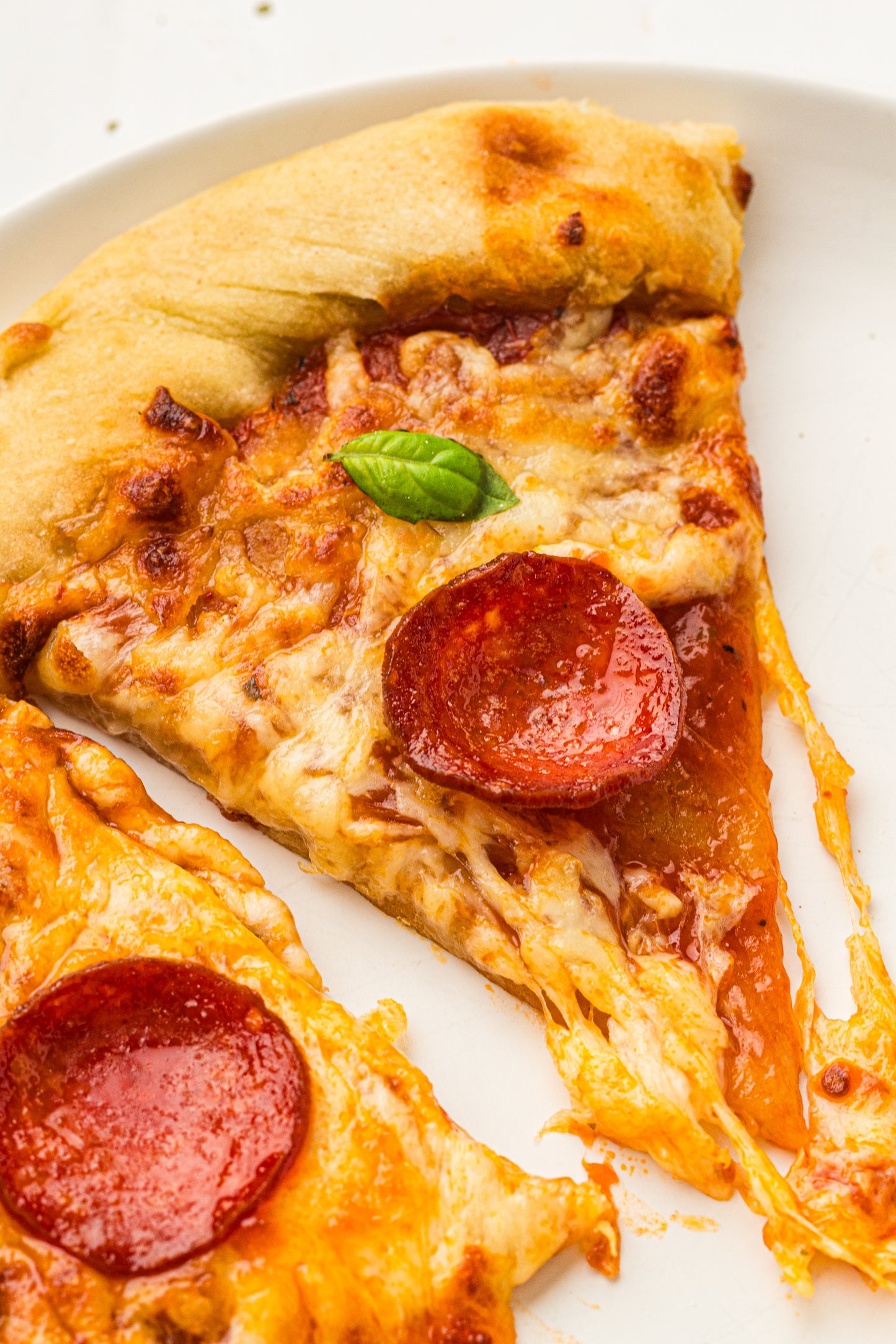 Sourdough Pizza (PLR Recipe)