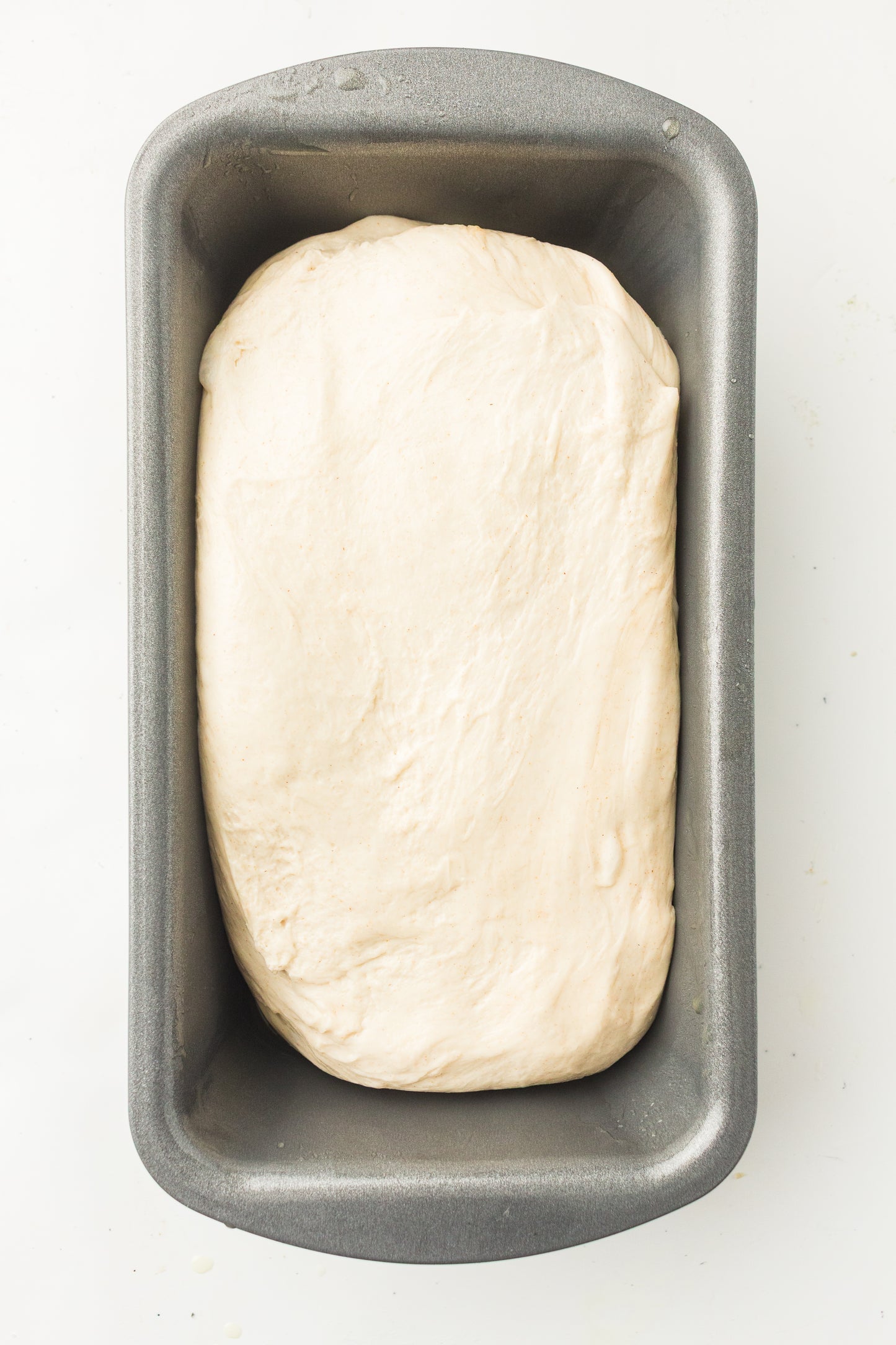 Classic Sourdough Loaf (PLR Recipe)