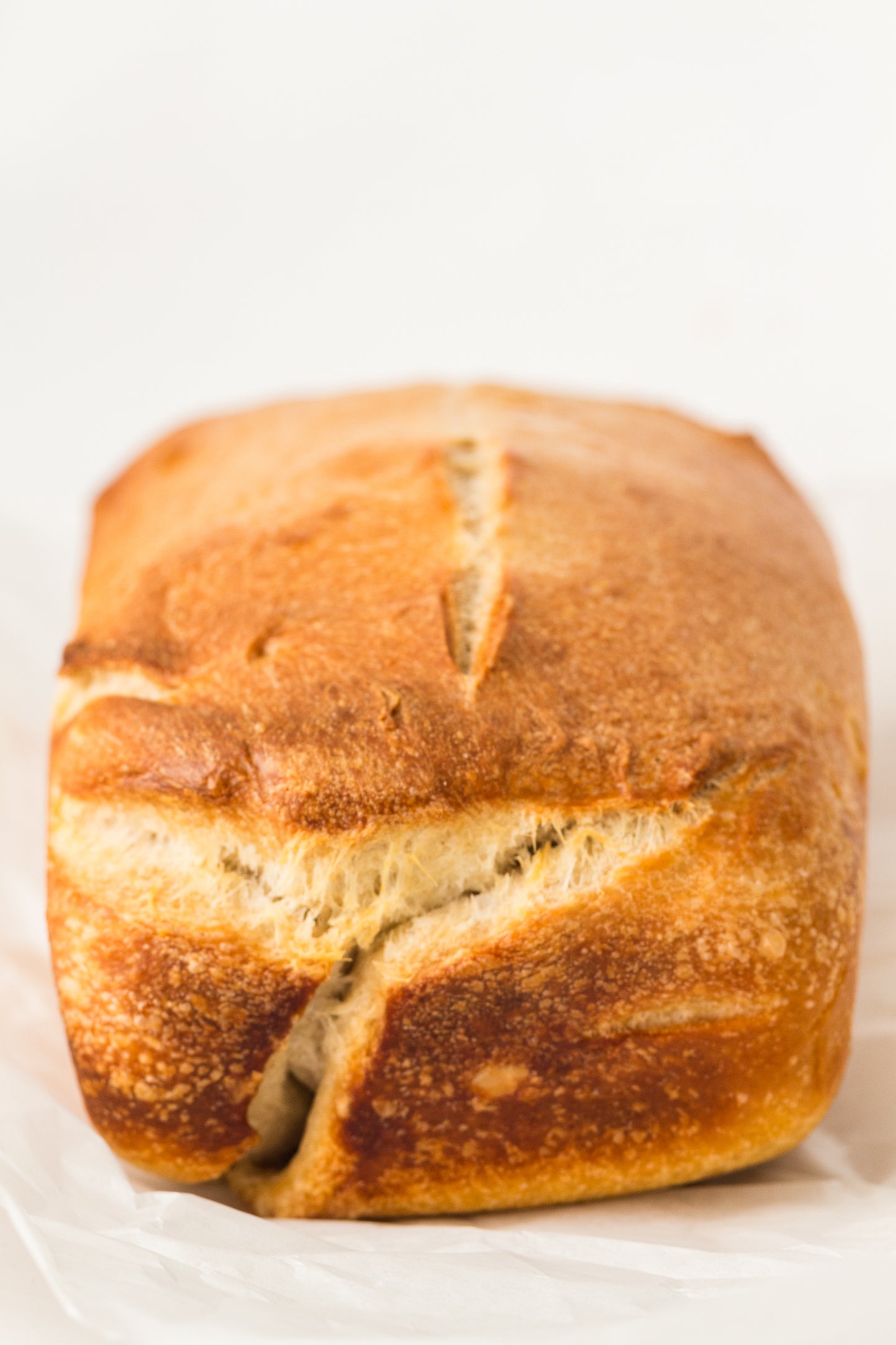 Classic Sourdough Loaf (PLR Recipe)