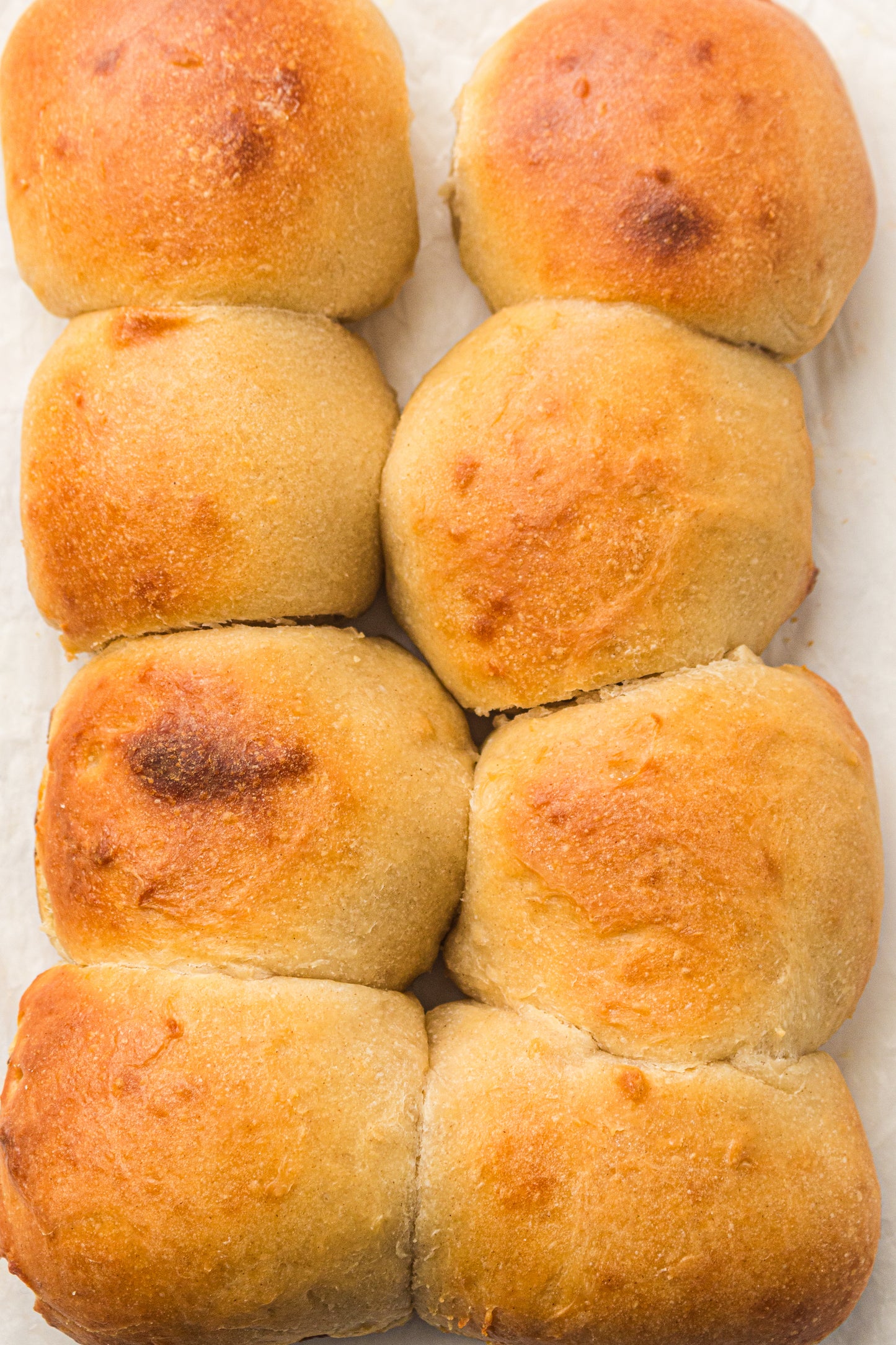 Sourdough Dinner Rolls (PLR Recipe)