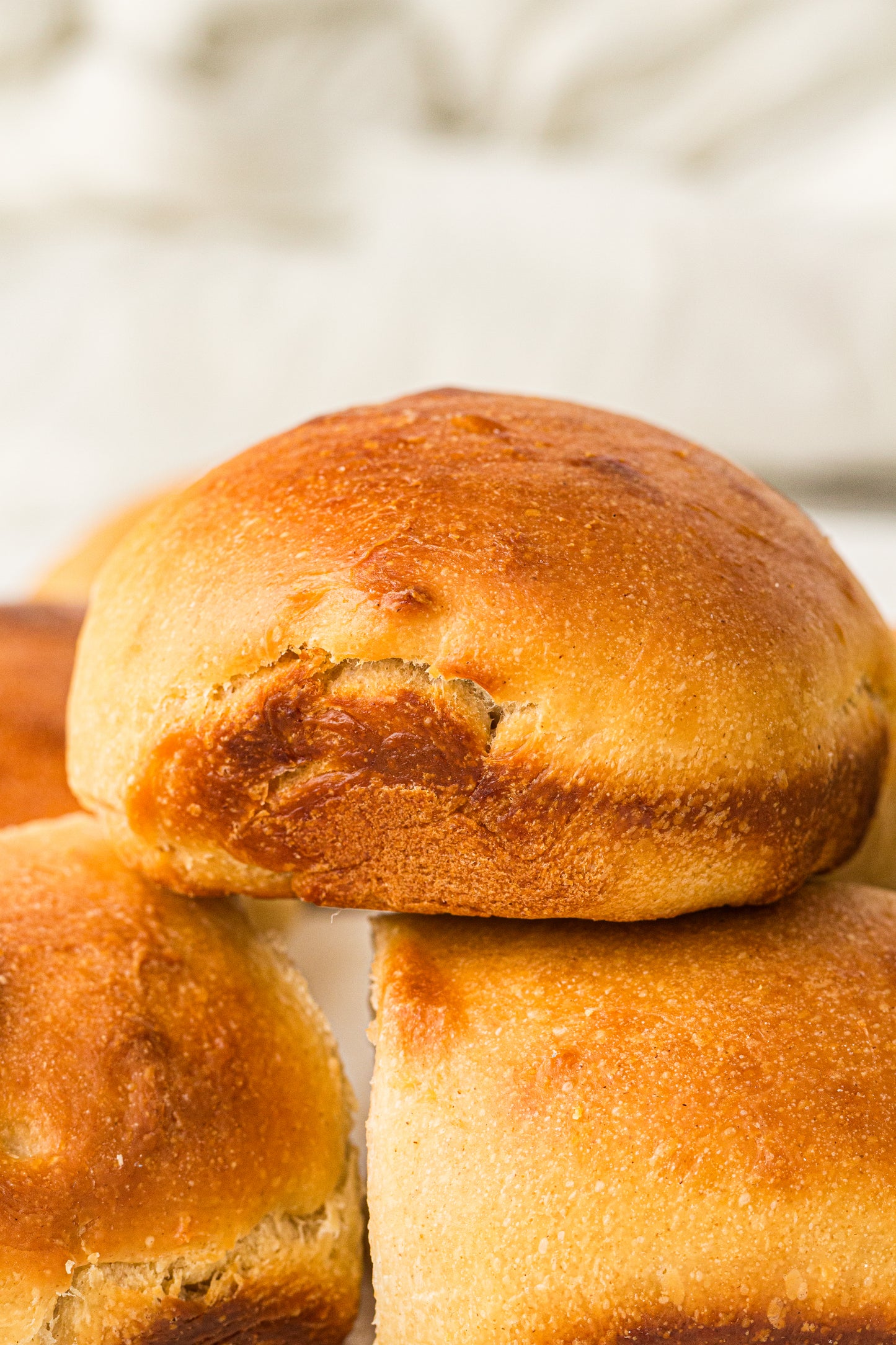 Sourdough Dinner Rolls (PLR Recipe)