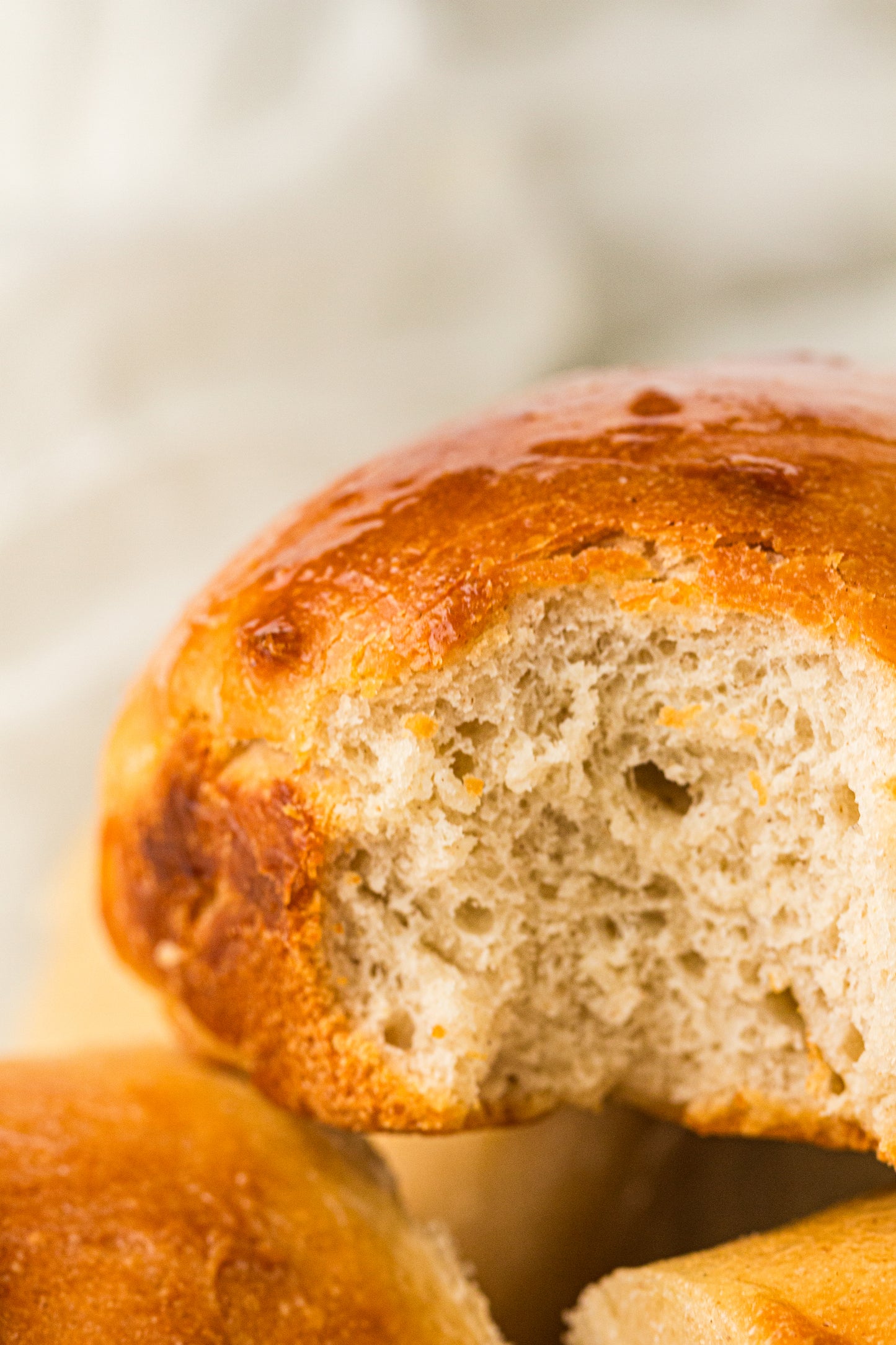 Sourdough Dinner Rolls (PLR Recipe)