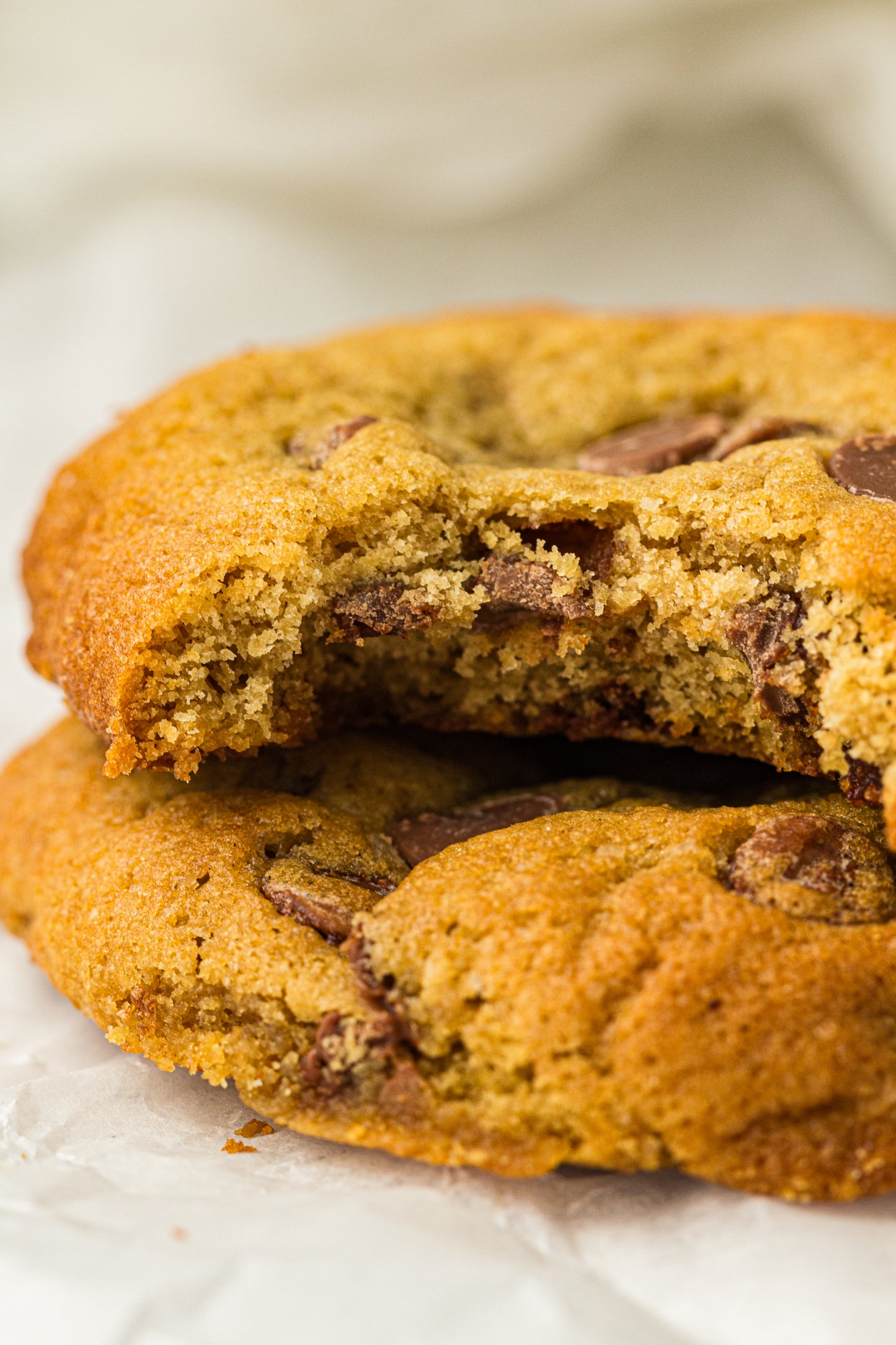 Sourdough Discard Cookies (PLR Recipe)