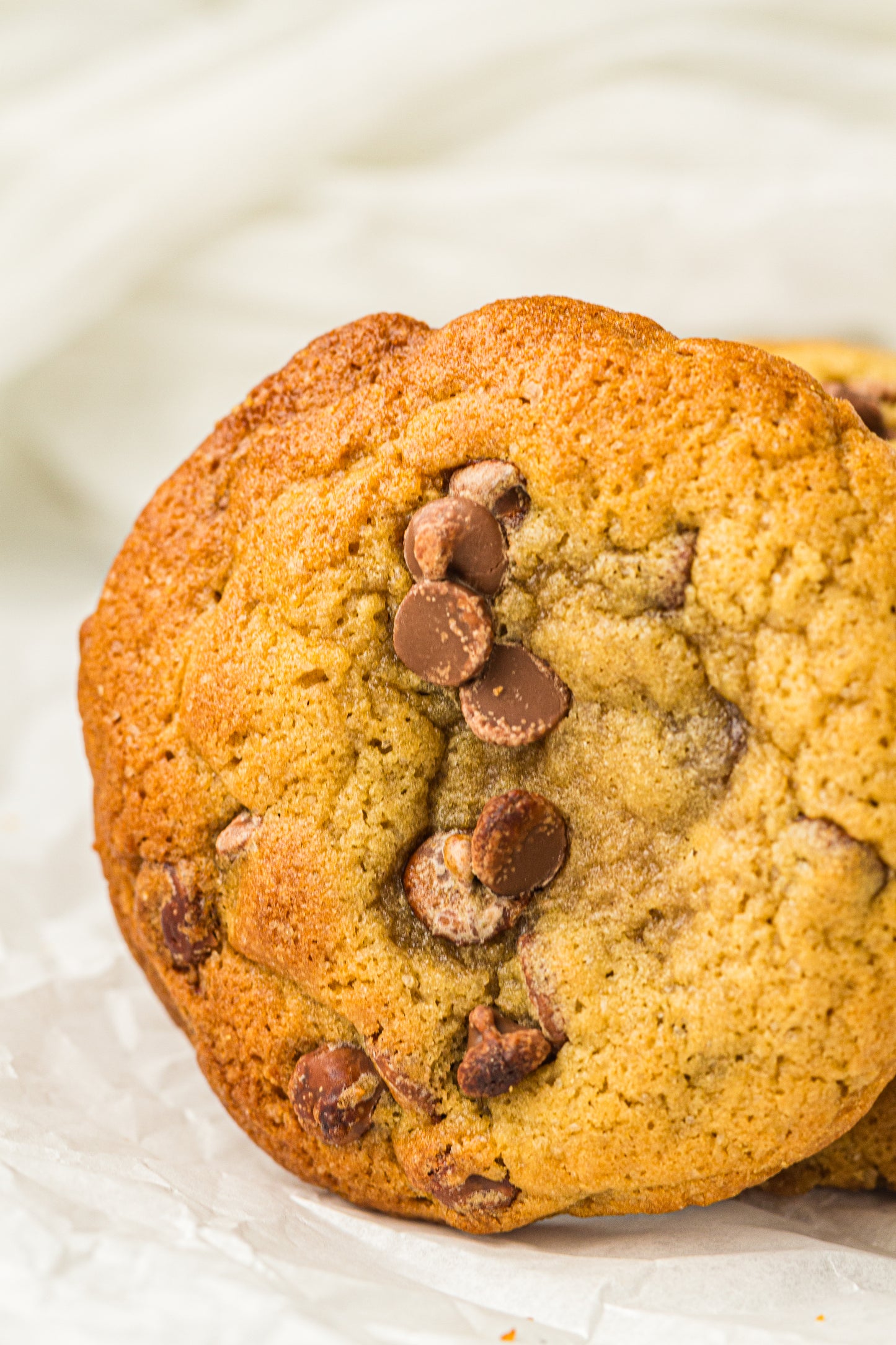 Sourdough Discard Cookies (PLR Recipe)