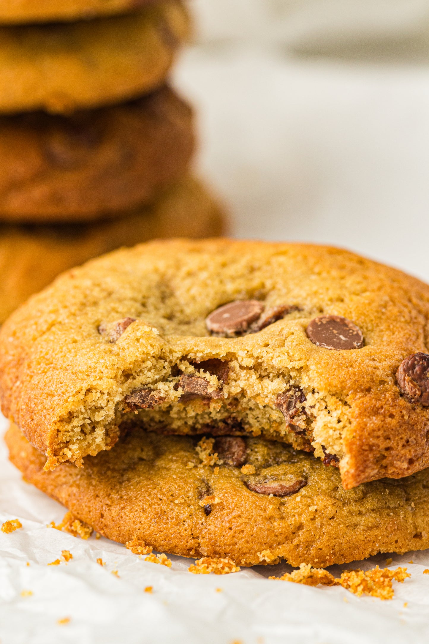 Sourdough Discard Cookies (PLR Recipe)